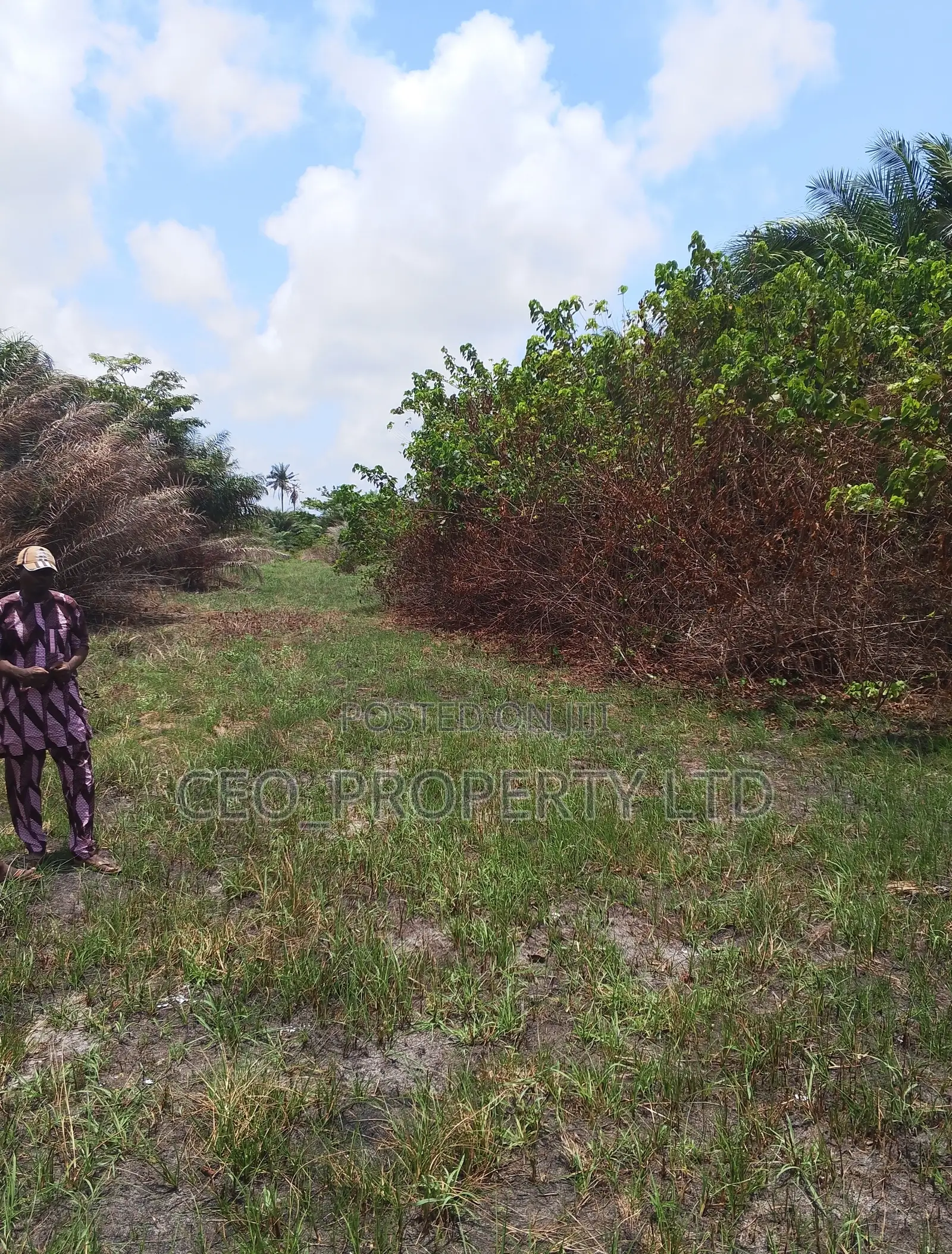 Buy a Plot of Land in Eleko for 10million Behind Amen Estate. in Eleko