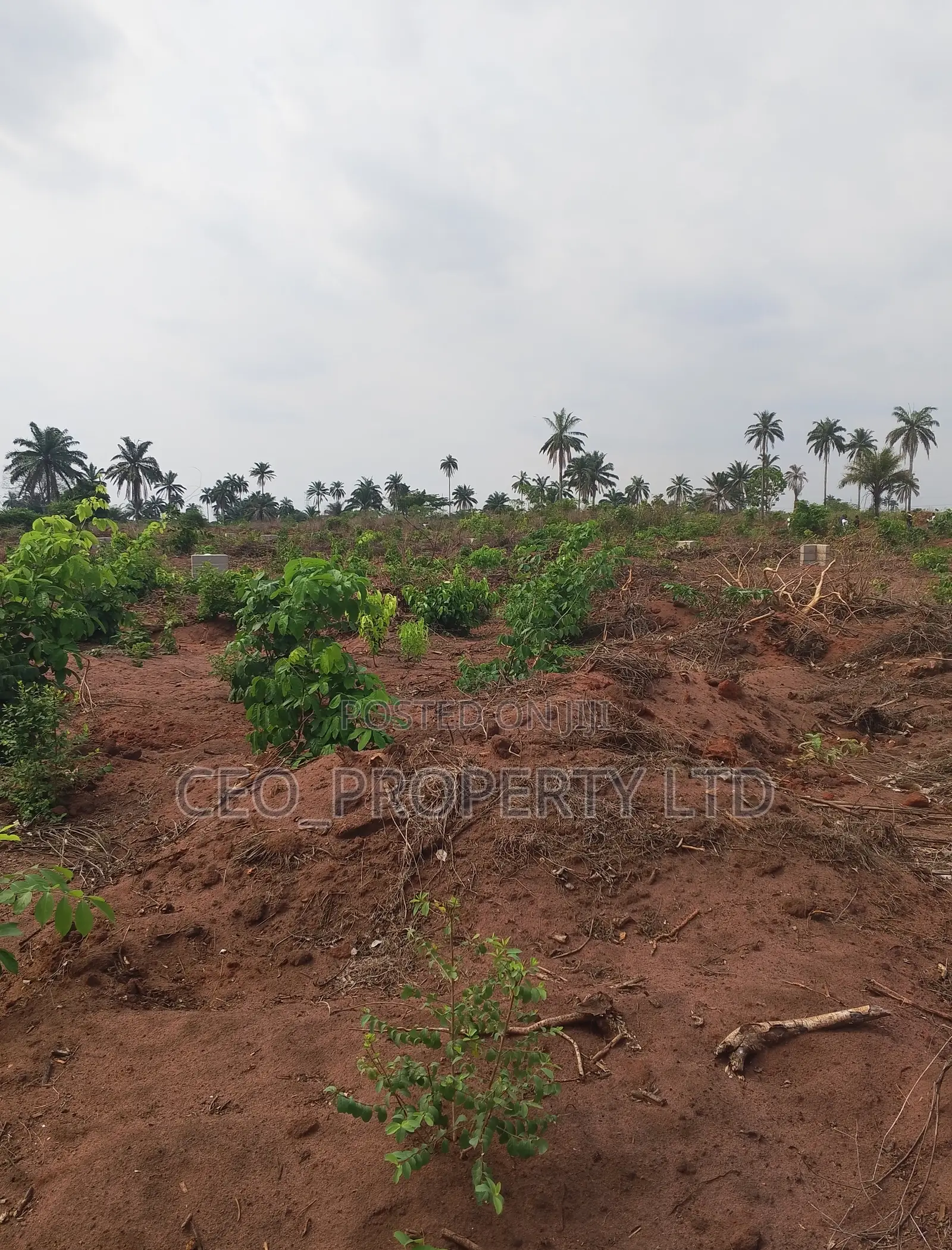 Buy Land in Asaba 5 Million in Oshimili North