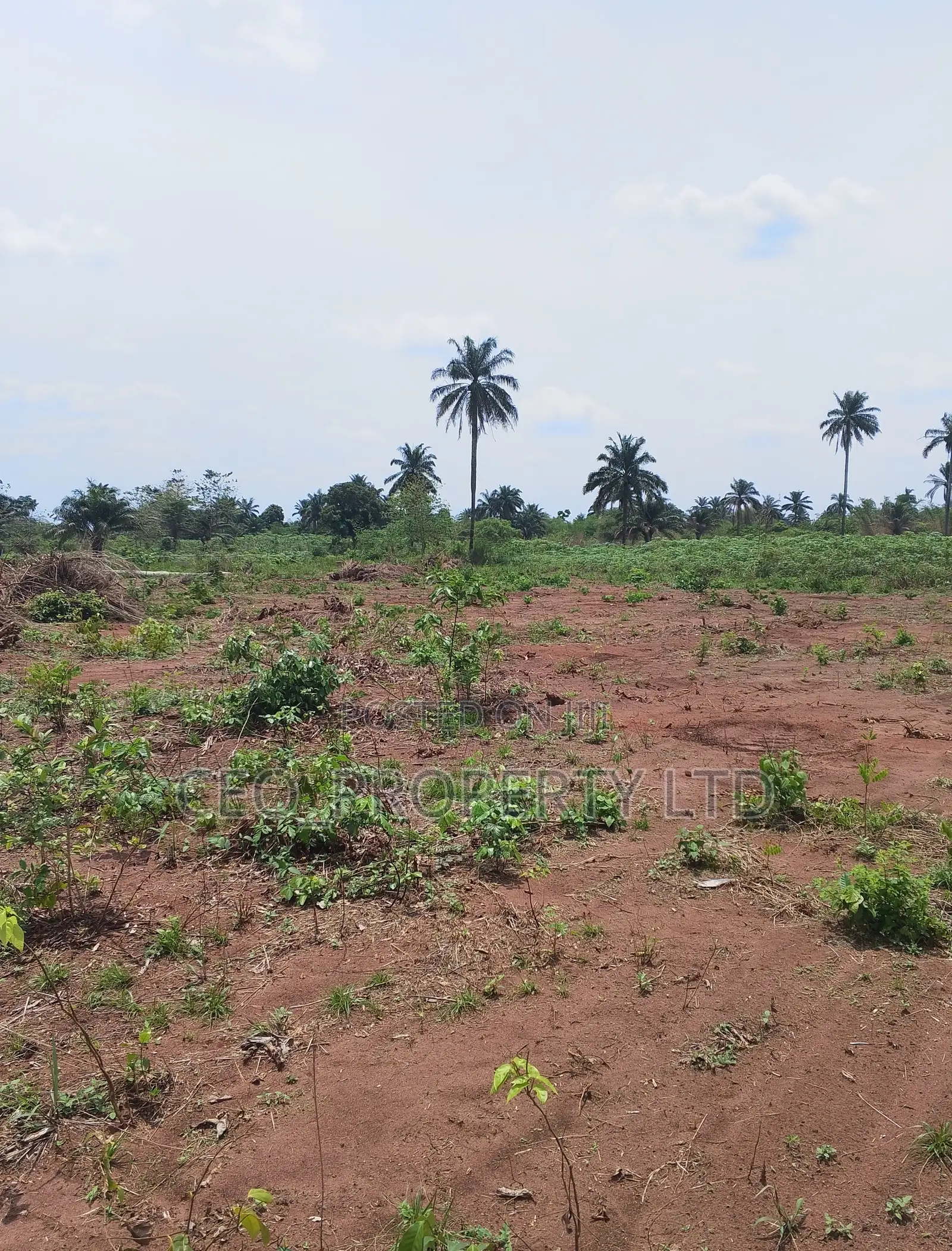 Agunecheibe Luxury Home Asaba Selling 3million in Aniocha South