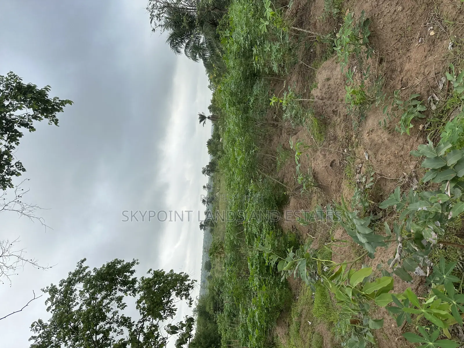 2000 Acres at Itesiwaju Local Government, Off Isy to Saki Rd in Itesiwaju