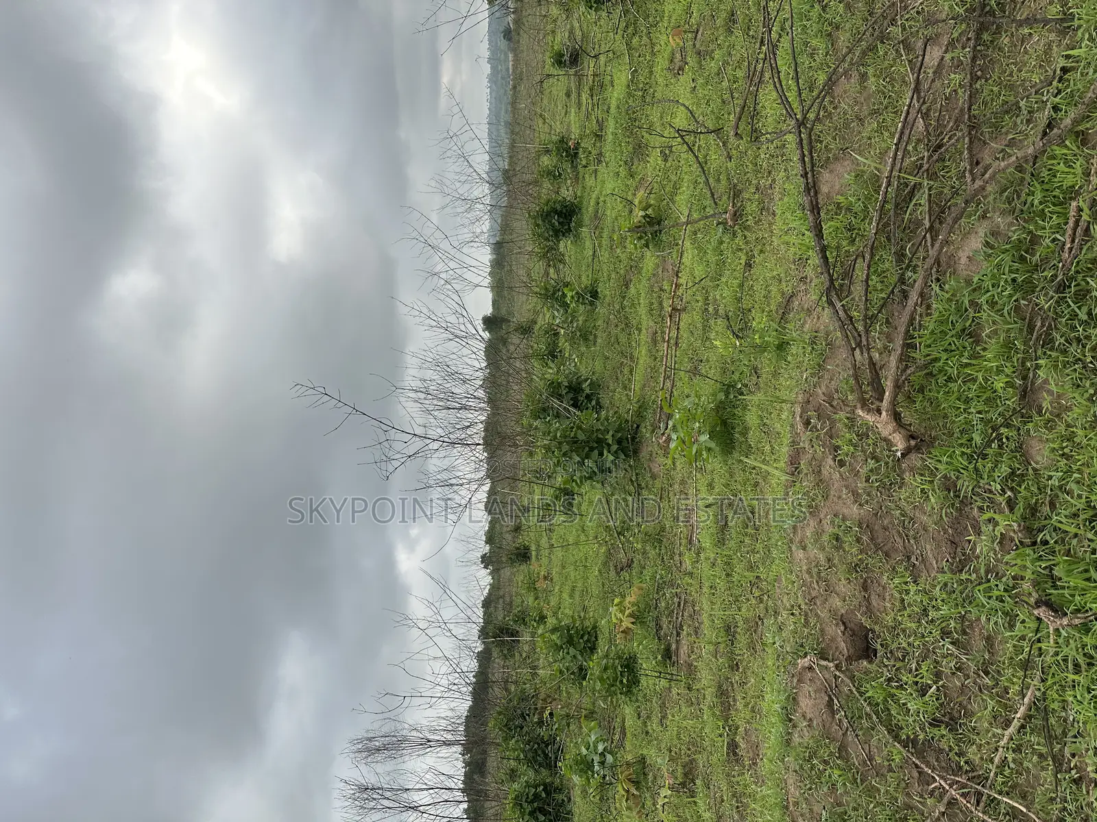 2000 Acres at Itesiwaju Local Government, Off Isy to Saki Rd in Itesiwaju
