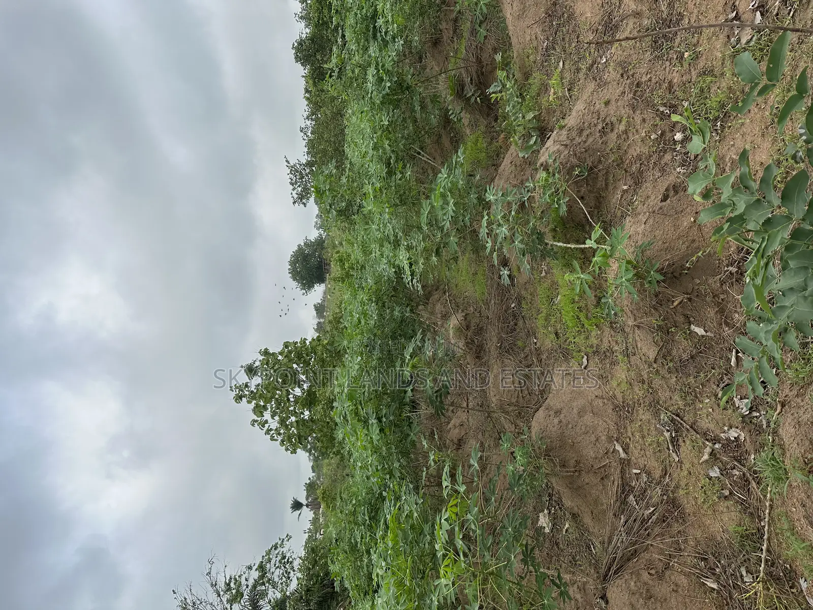 2000 Acres at Itesiwaju Local Government, Off Isy to Saki Rd in Itesiwaju