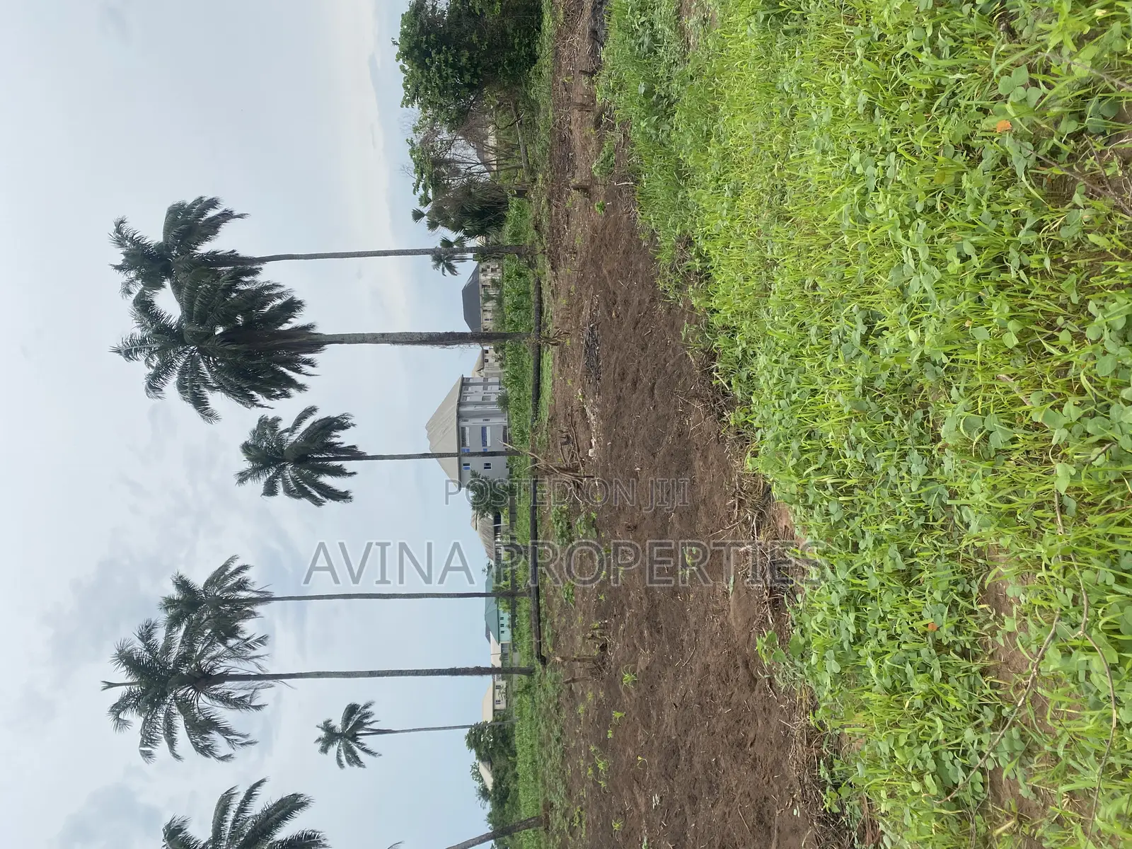 Total of Two Plot of Land Available for Sale in Owerri West in Owerri