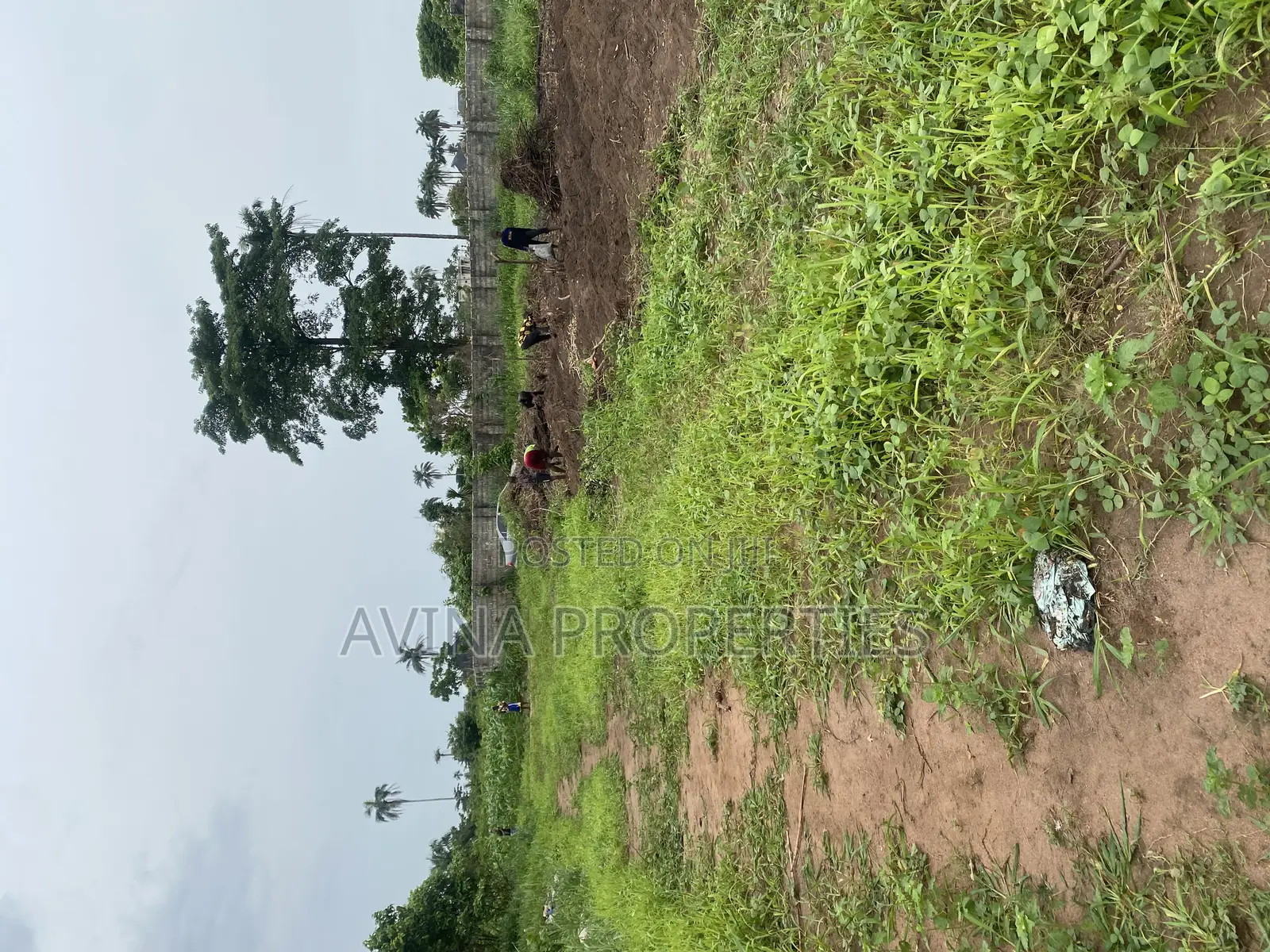 Total of Two Plot of Land Available for Sale in Owerri West in Owerri