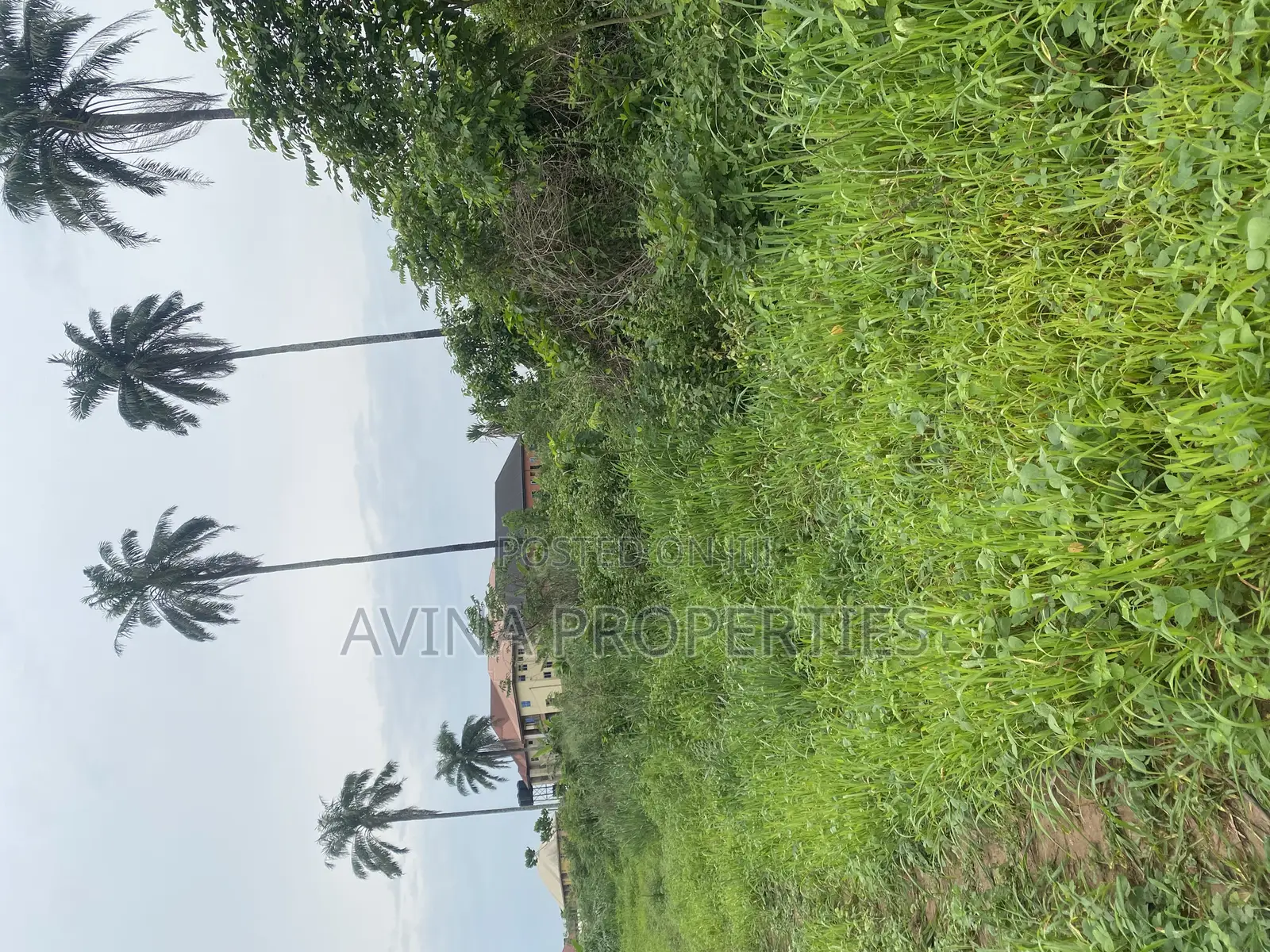150 Plots of Farm Land at Eziobodo Owerri West in Owerri