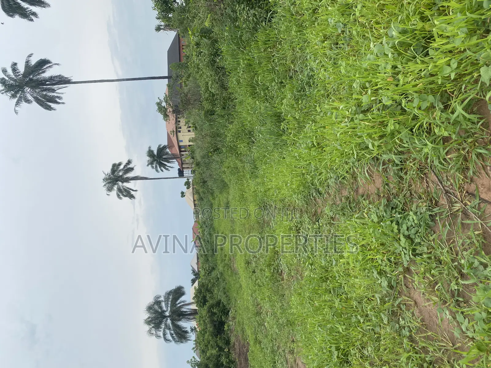 150 Plots of Farm Land at Eziobodo Owerri West in Owerri