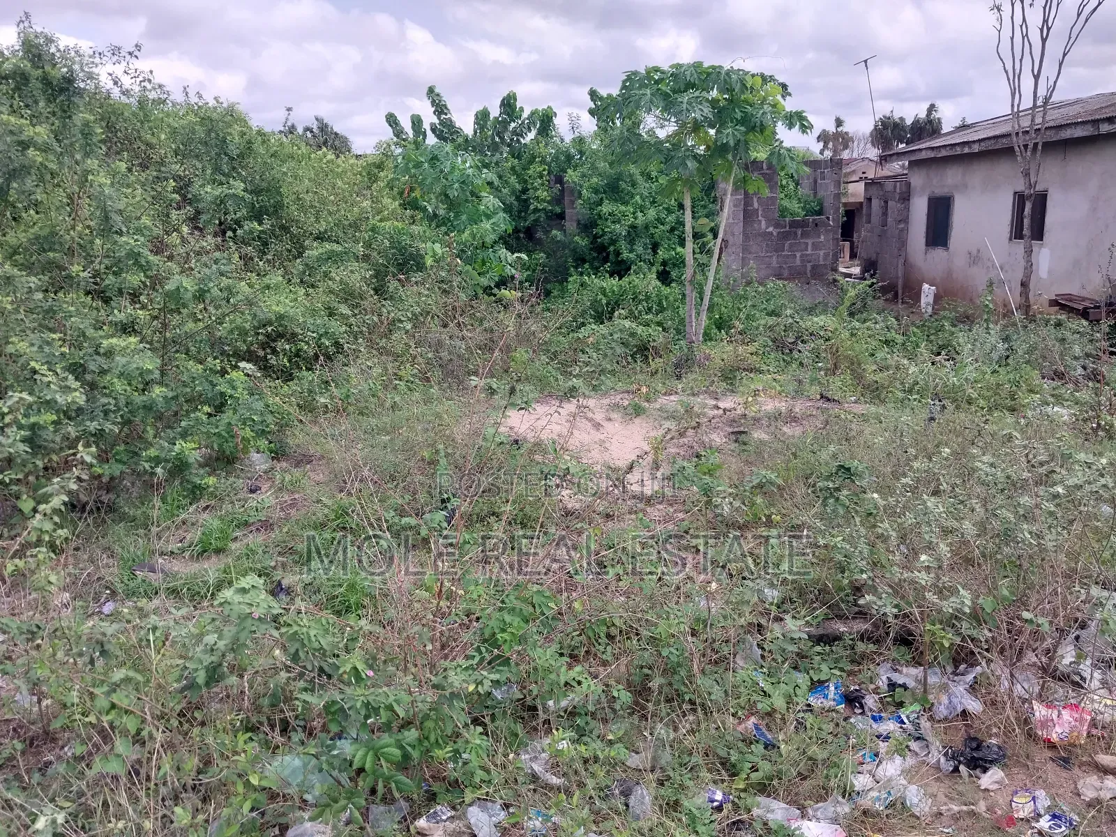 Two and Half Plots Along Egbeda Idimu ZRD in Egbeda / Egbeda