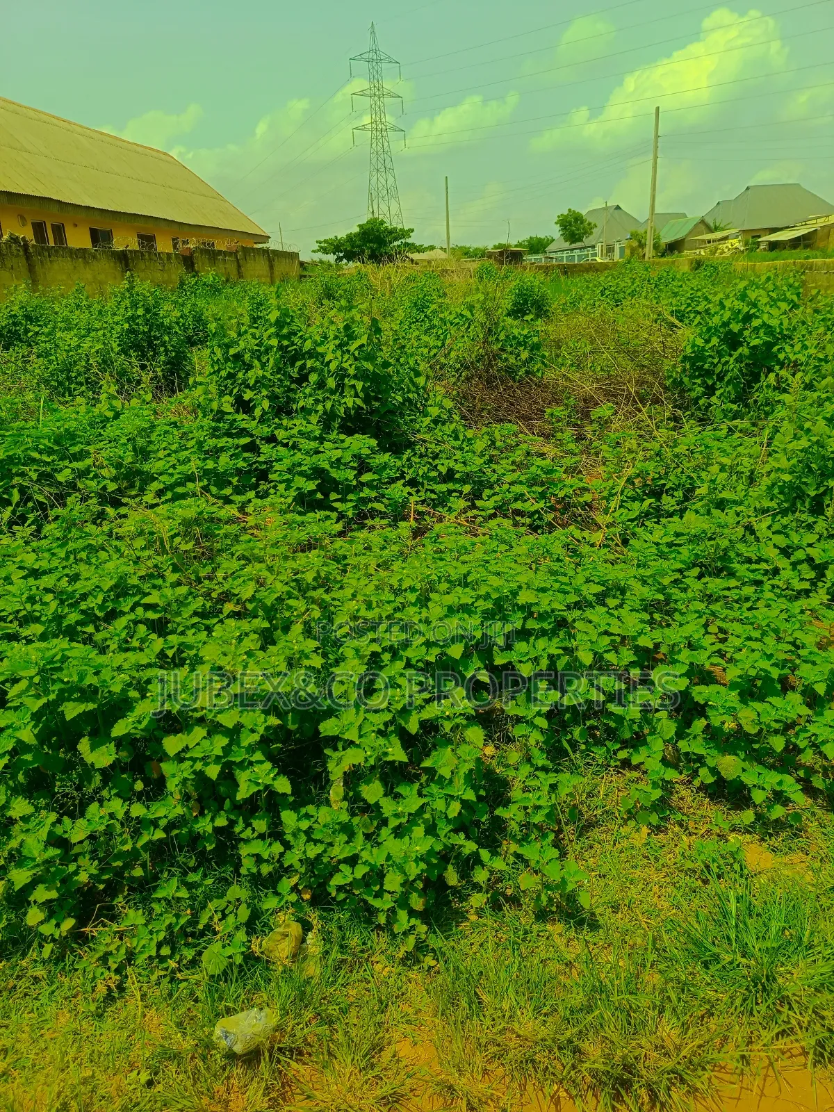 A Plot. At Ict Polytechnic Itori in Ewekoro