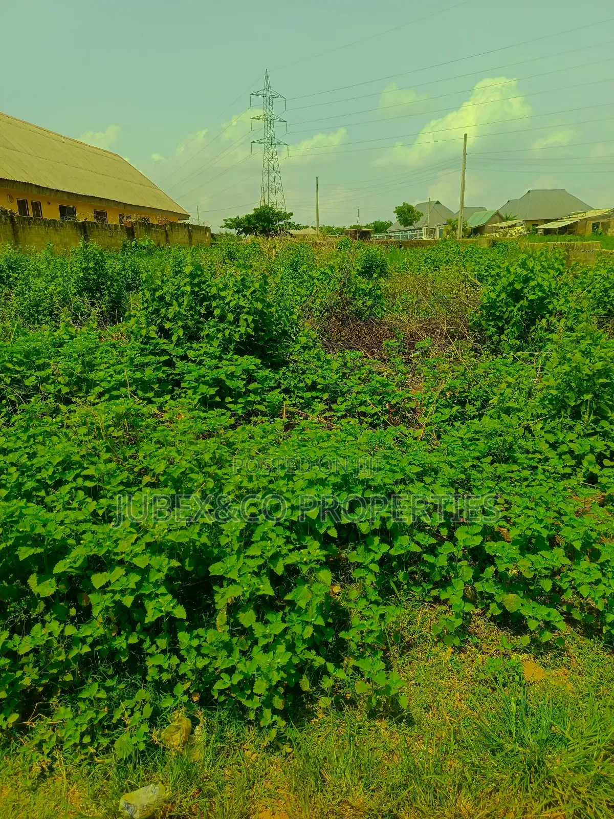 A Plot. At Ict Polytechnic Itori in Ewekoro