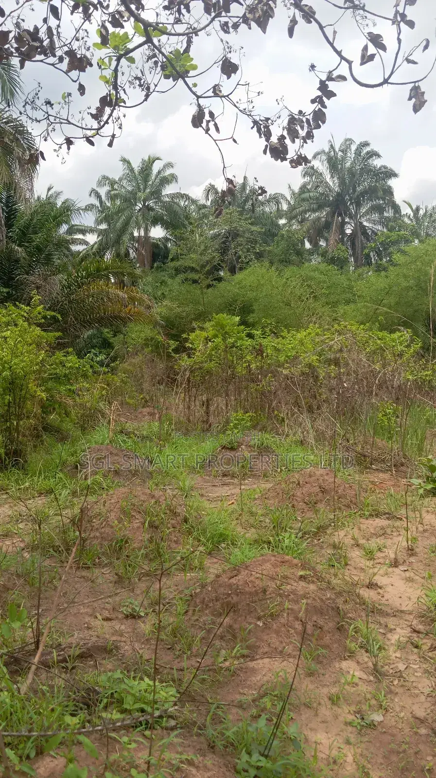 A Plot of Land for Sale at Isiagu Awka in Awka