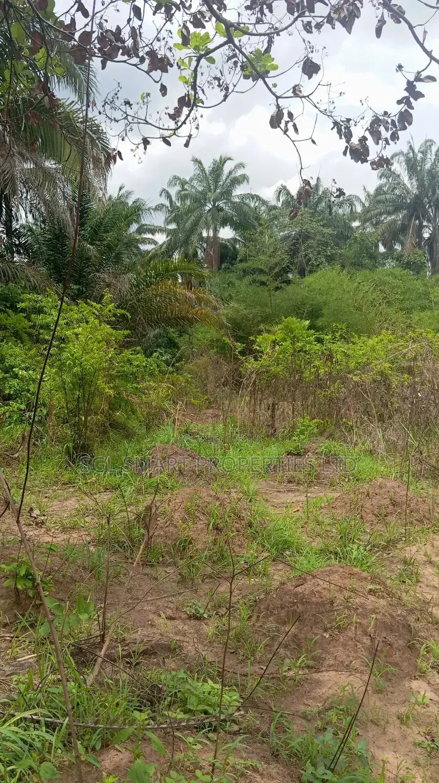 A Plot of Land for Sale at Isiagu Awka in Awka