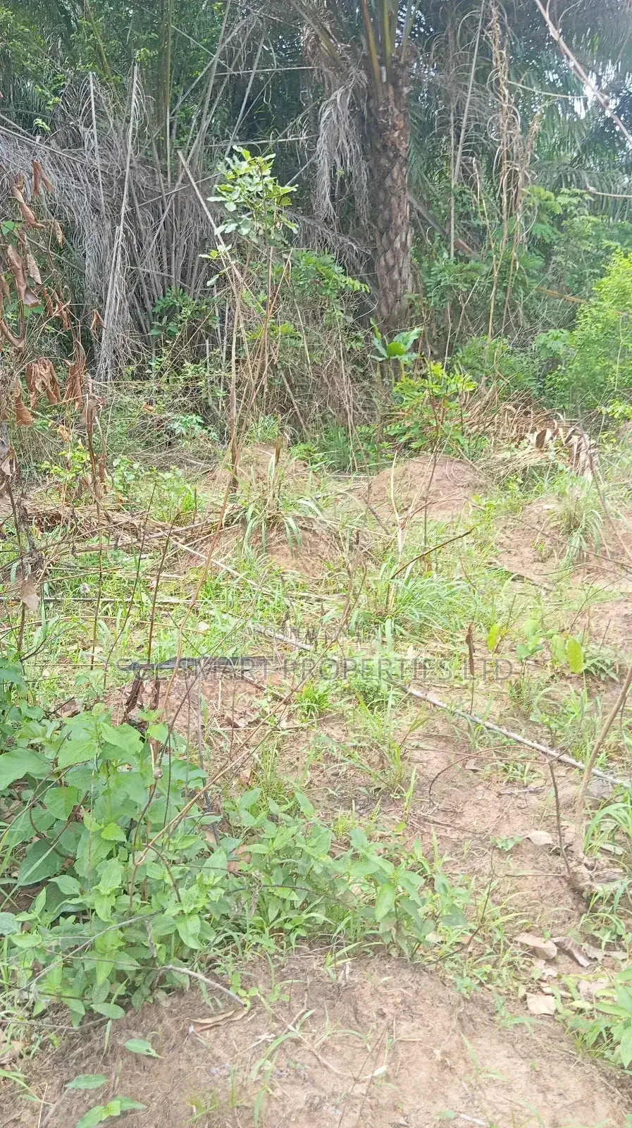 A Plot of Land for Sale at Isiagu Awka in Awka