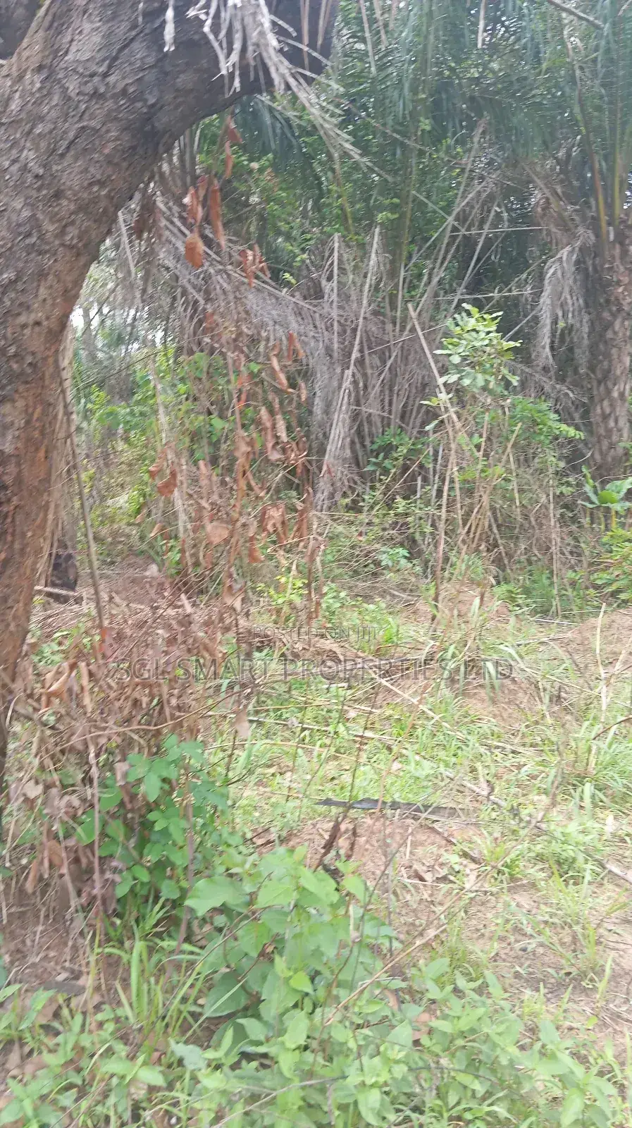 A Plot of Land for Sale at Isiagu Awka in Awka
