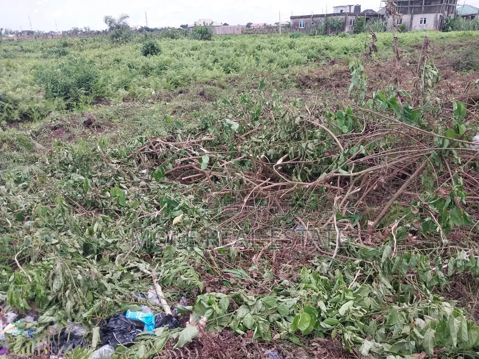 Great Roi Land Size 677, 881sqm Facin Bank Anthony Ikeja in Ikeja
