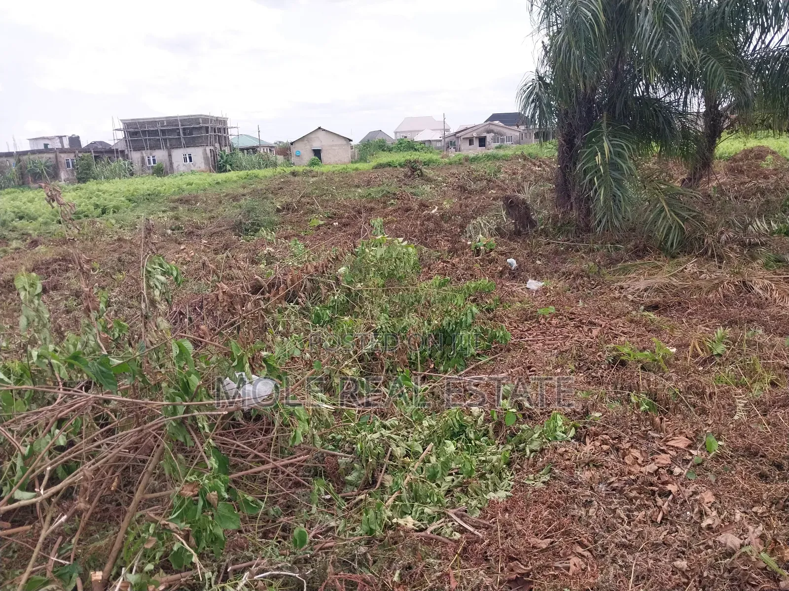 Great Roi Land Size 677, 881sqm Facin Bank Anthony Ikeja in Ikeja