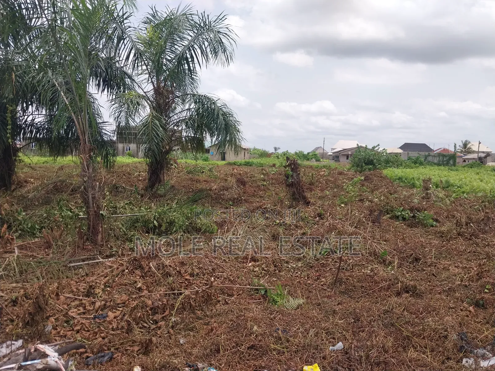 3bdrm Block of Flats in Pedro, Shomolu for sale in Shomolu