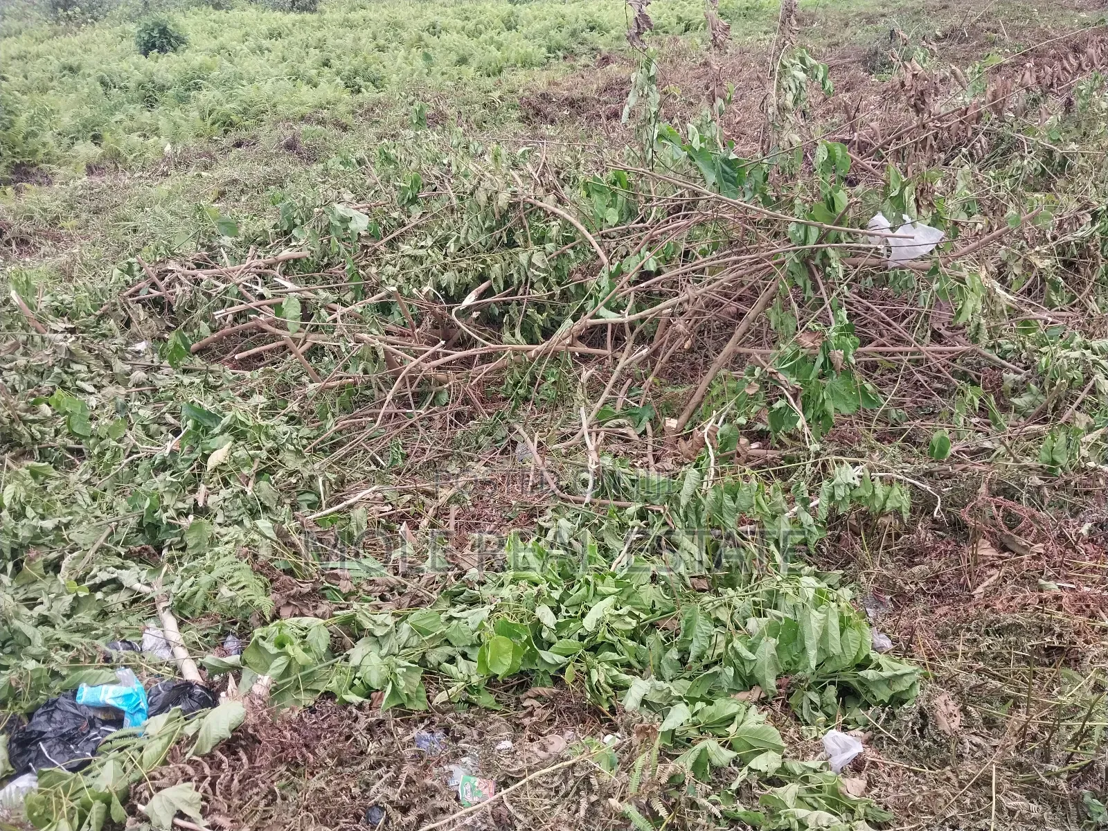 5 Plots of Dry Land Super Roi Facing Badagry Express in Ikeja