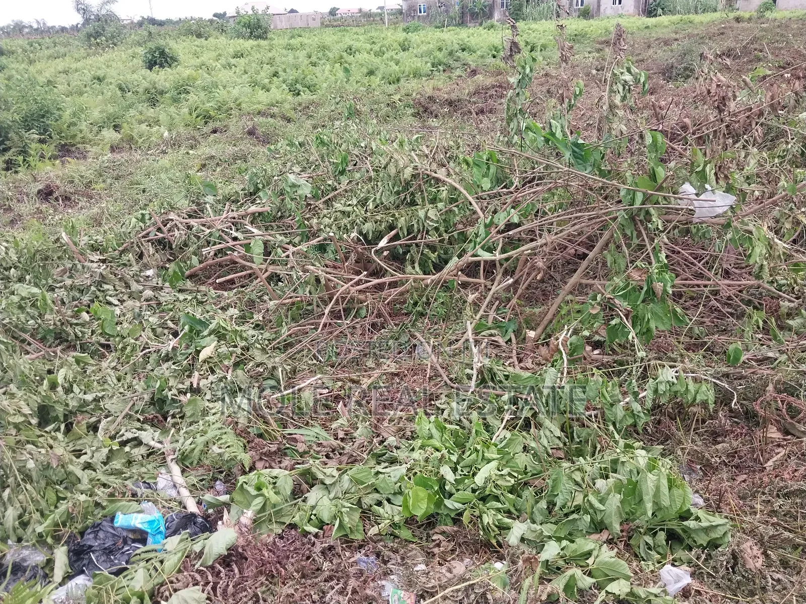 5 Plots of Dry Land Super Roi Facing Badagry Express in Ikeja