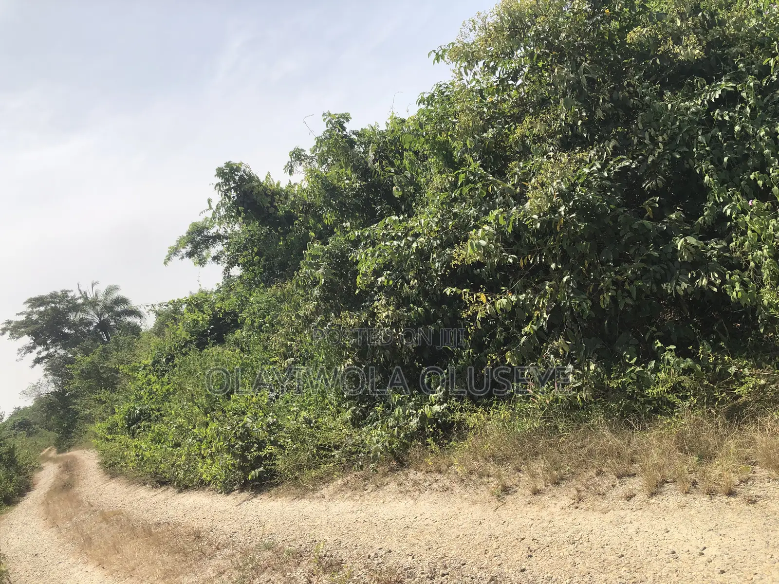 Alabata Village Agric Farmland in Ogun State, Nigeria in Odeda
