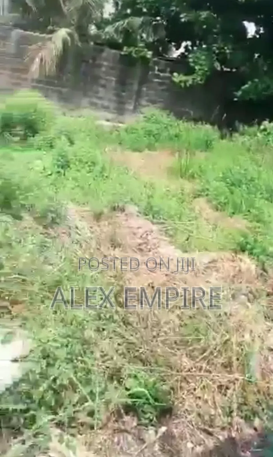 Land for Sale in Bucknor