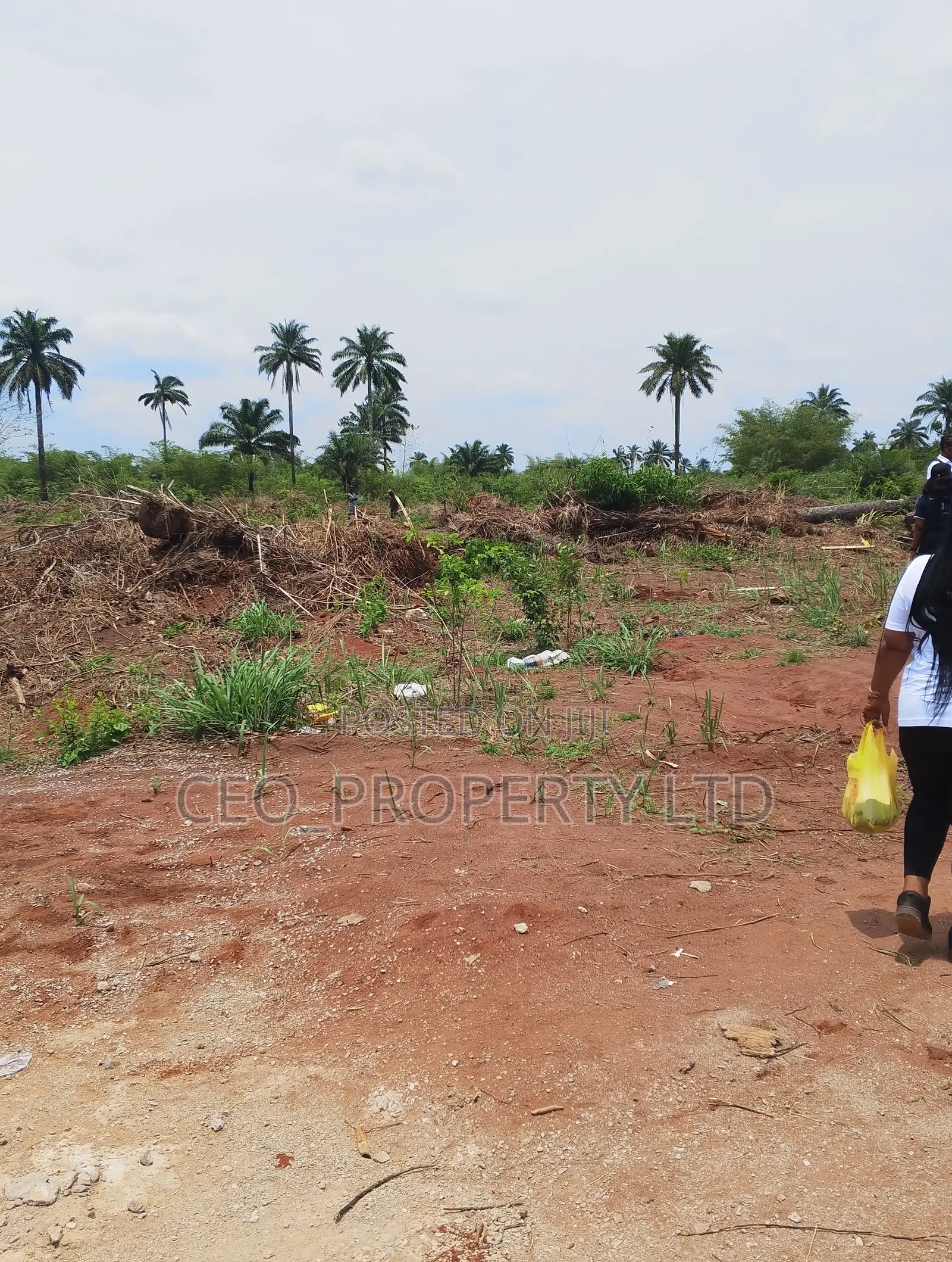 Government Approved Farm Lands Epe in Epe Road