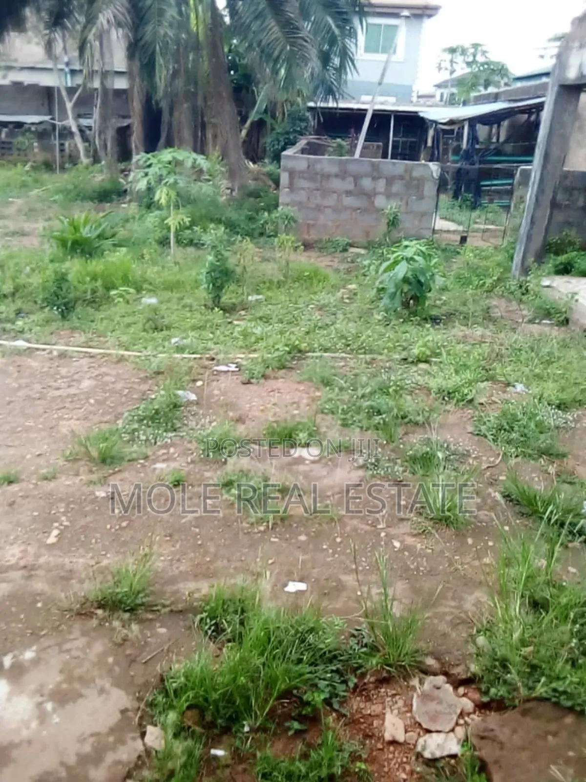 1 1/2 Plot of Land Fenced Gated Olorunshola Ayobo Lagos in Ayobo