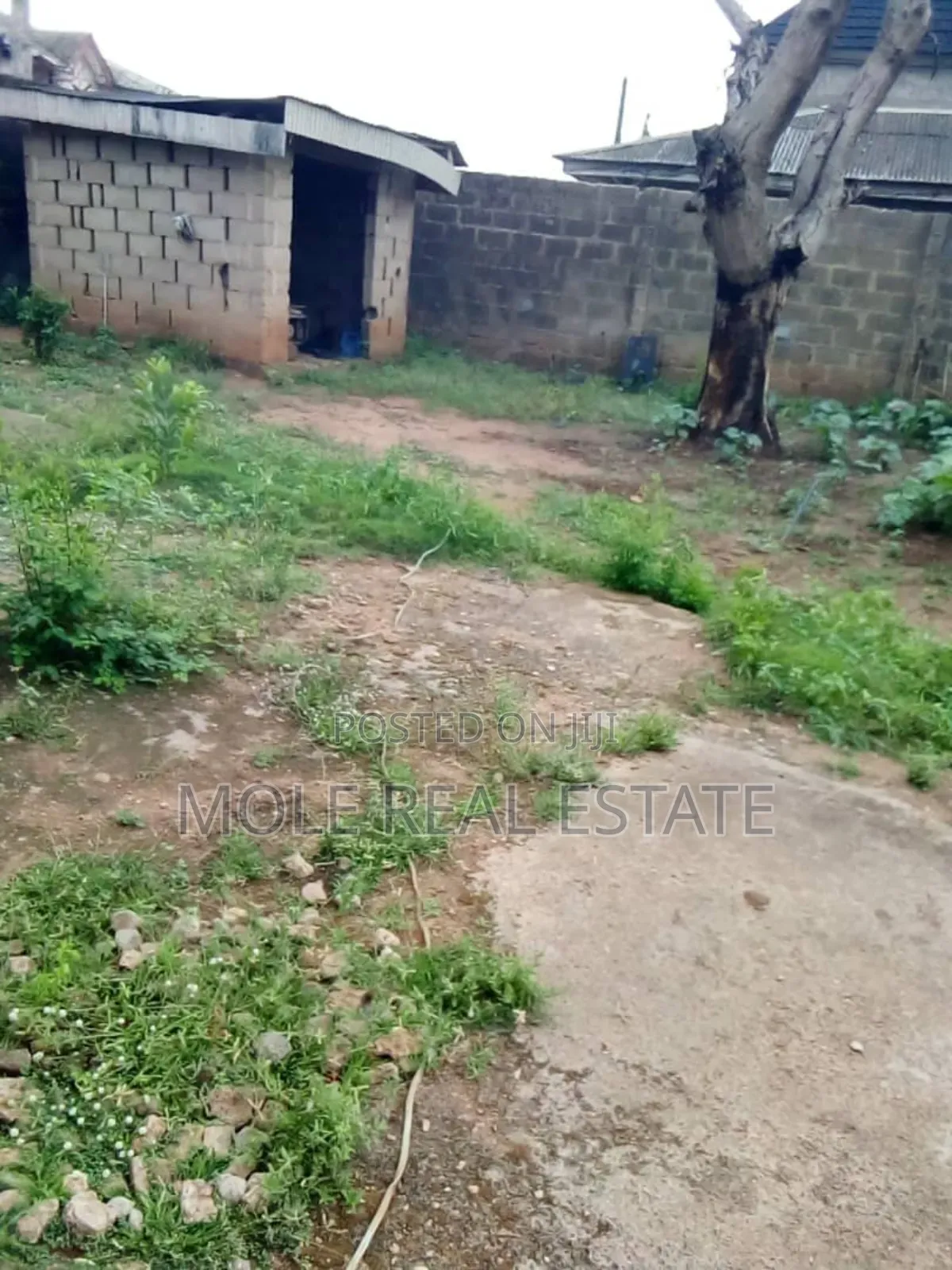 1 1/2 Plot of Land Fenced Gated Olorunshola Ayobo Lagos in Ayobo