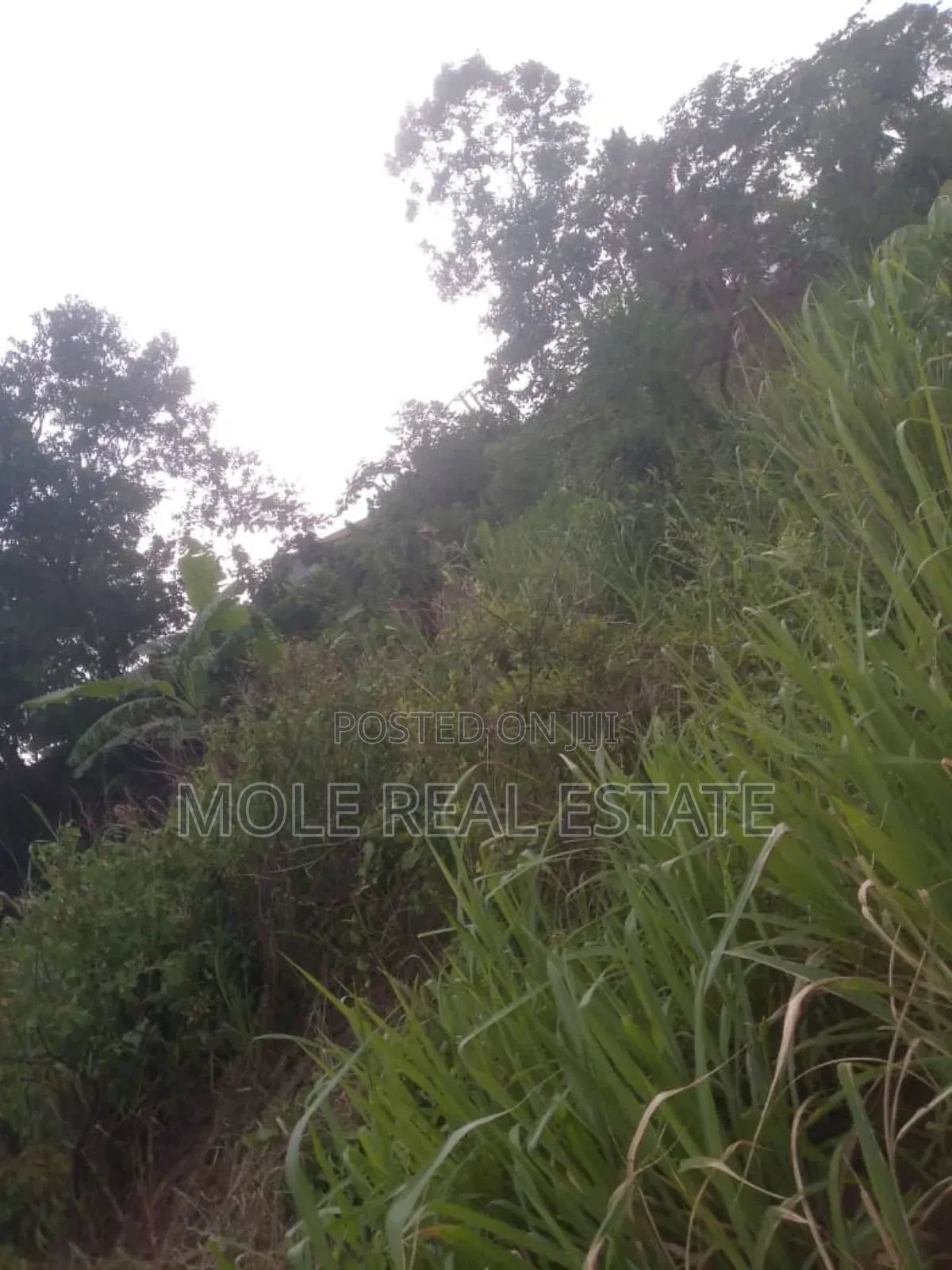 13 Plots With 8 Shops Meiron Casso Alagbado Kola in Alagbado