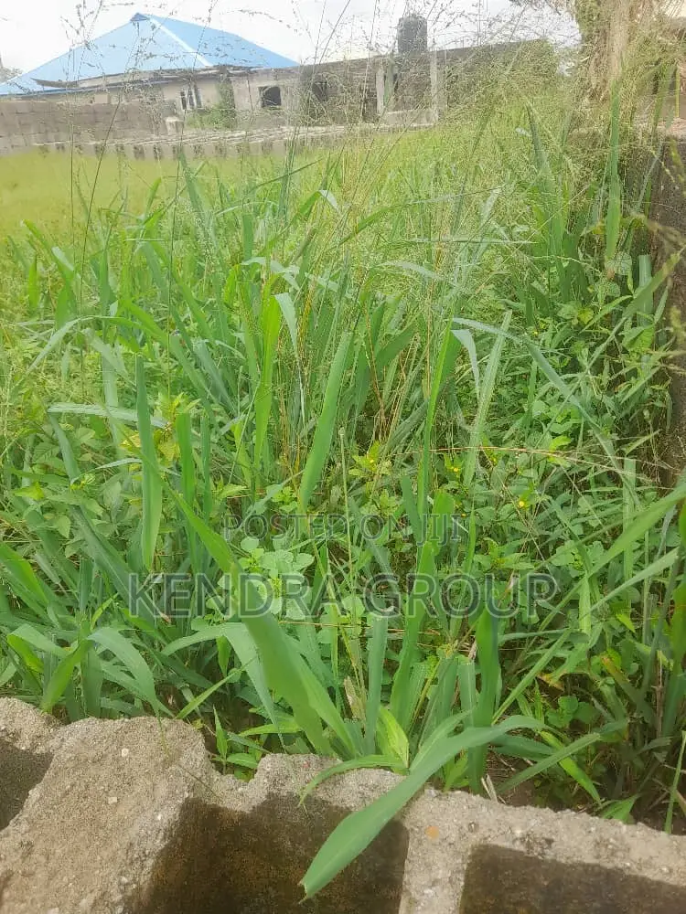 Half Plot for Sale at Mowokekere, Elepe in Ibeshe / Ikorodu