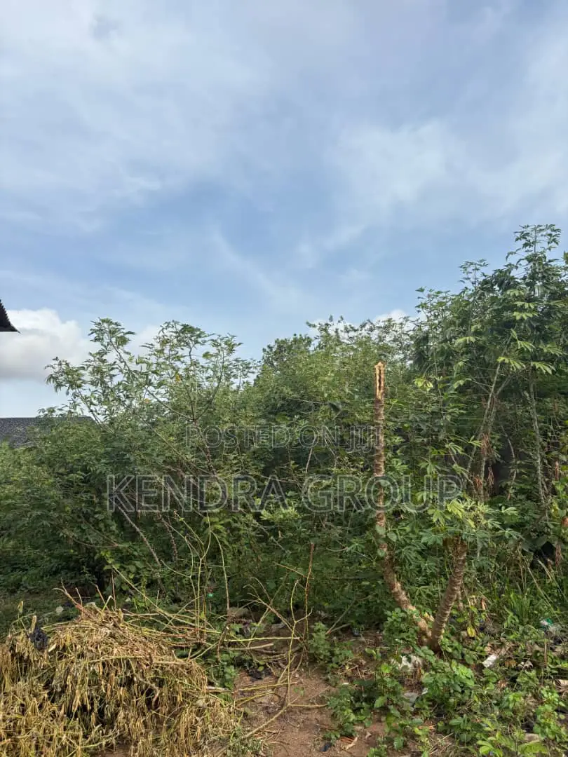 Land for Sale at Elepe, Ikorodu in Ijede / Ikorodu