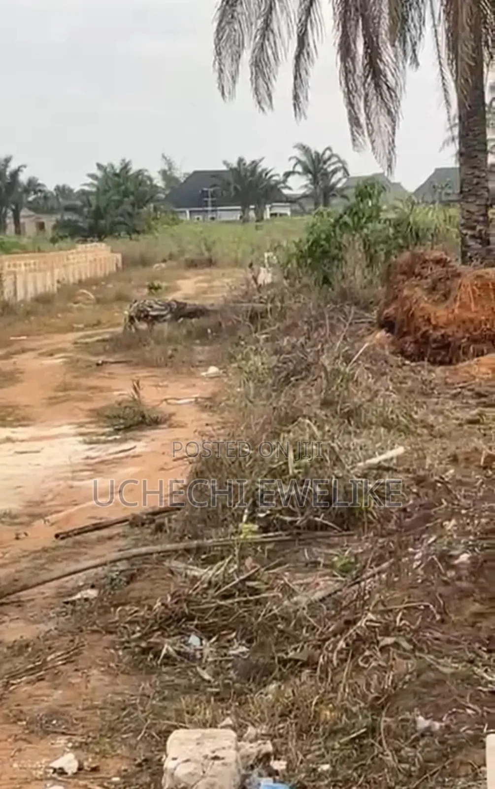 C of O Land in Benin in Benin City