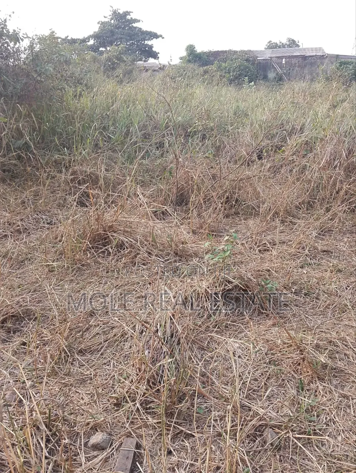 Full Plot With Mini Flats Lobata, Ikeja Alagbado Lagos in Agbado