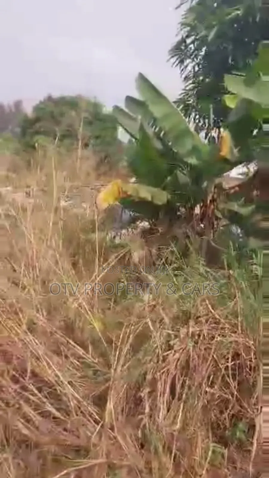 Joint Ventures Development in Sangotedo