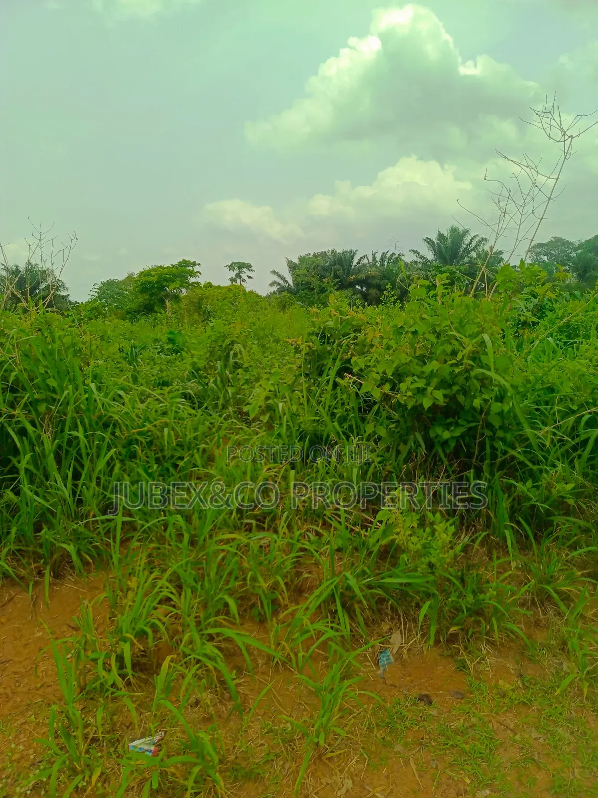 A Plot of Land at Iyana Iyesi in Ado-Odo/Ota