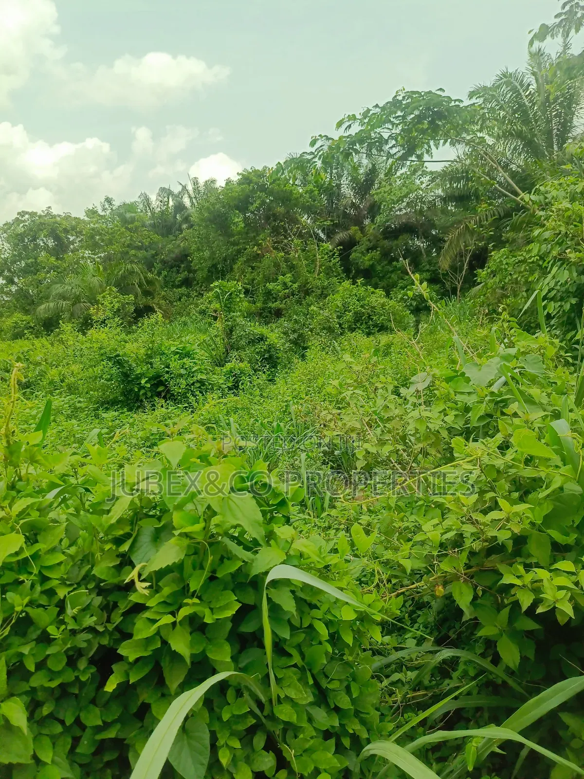 A Plot of Land at Iyana Iyesi in Ado-Odo/Ota
