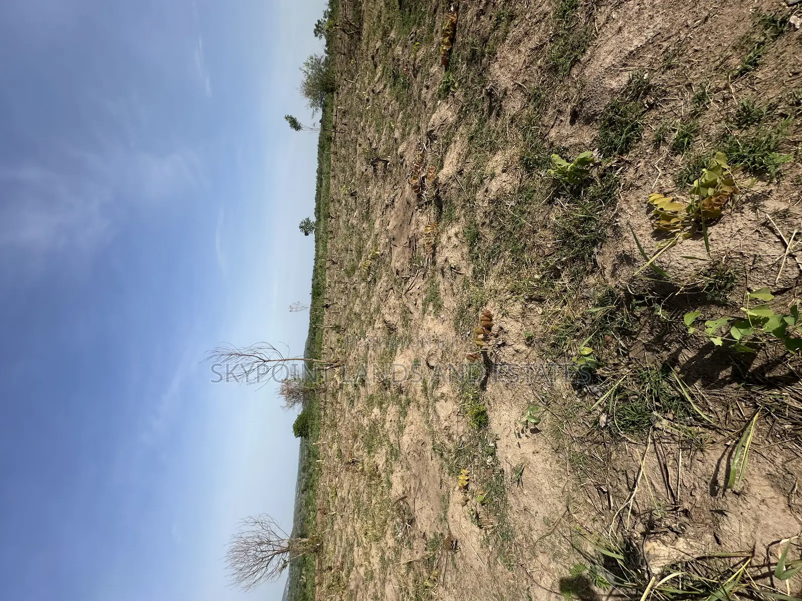 41 Acres at Eroomo Area Along Otu Road Ipapo Itesiwaju Lga in Itesiwaju