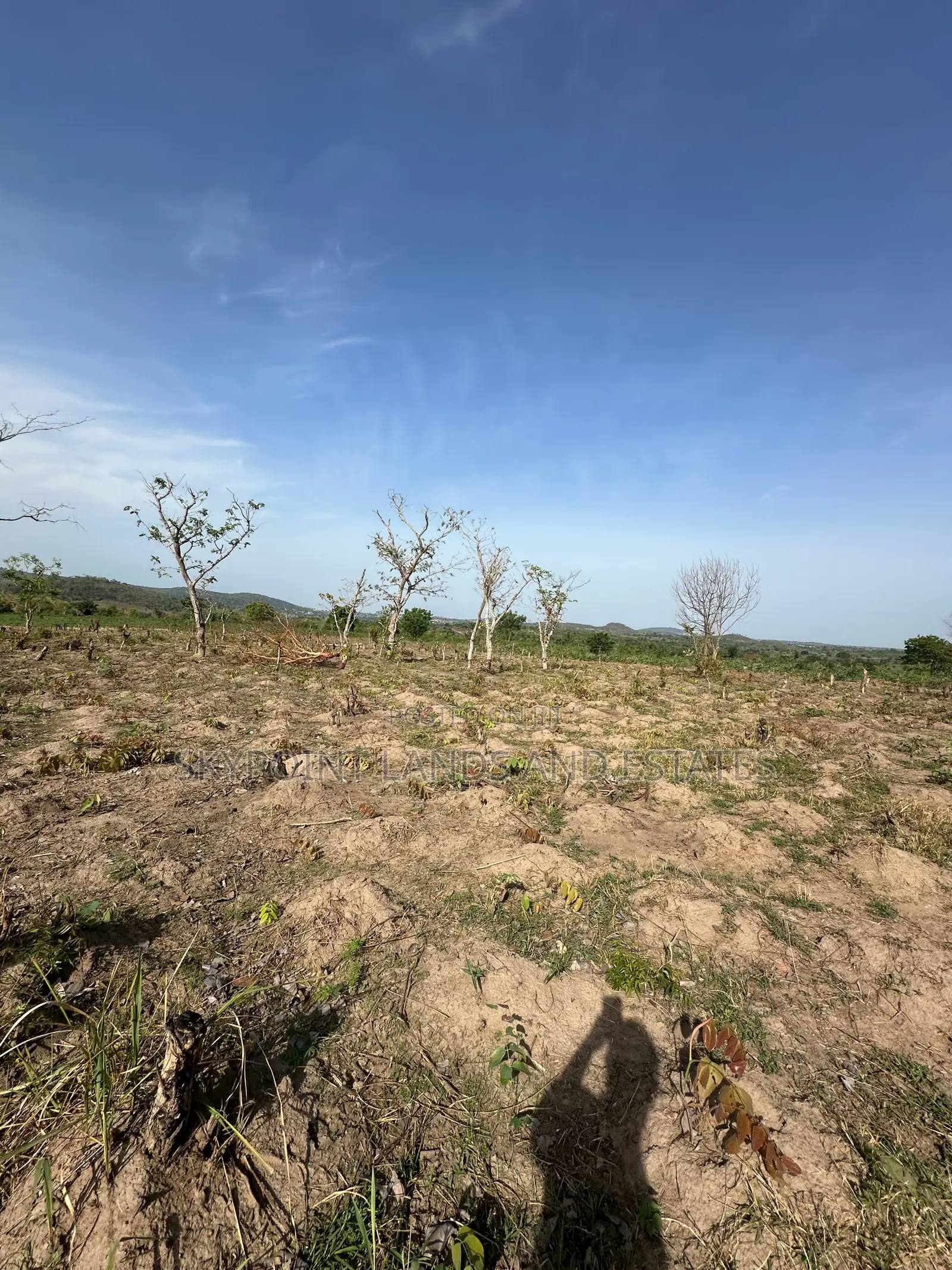 41 Acres at Eroomo Area Along Otu Road Ipapo Itesiwaju Lga in Itesiwaju