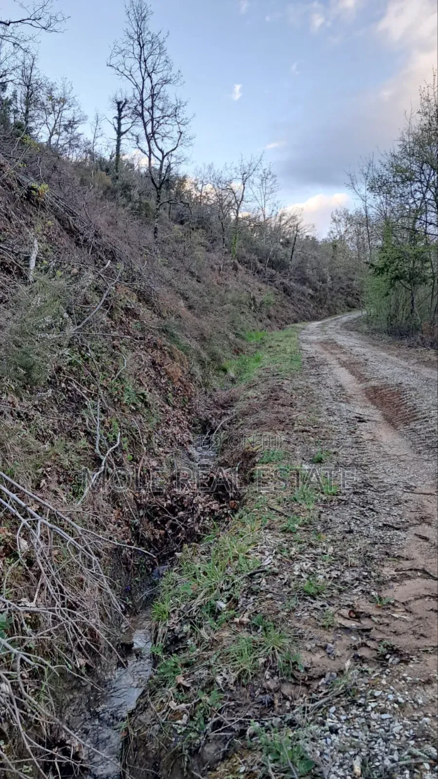 70 Acres of Land Afowowa Opp Ict Poly Ewokoro Ogun State in Obafemi-Owode