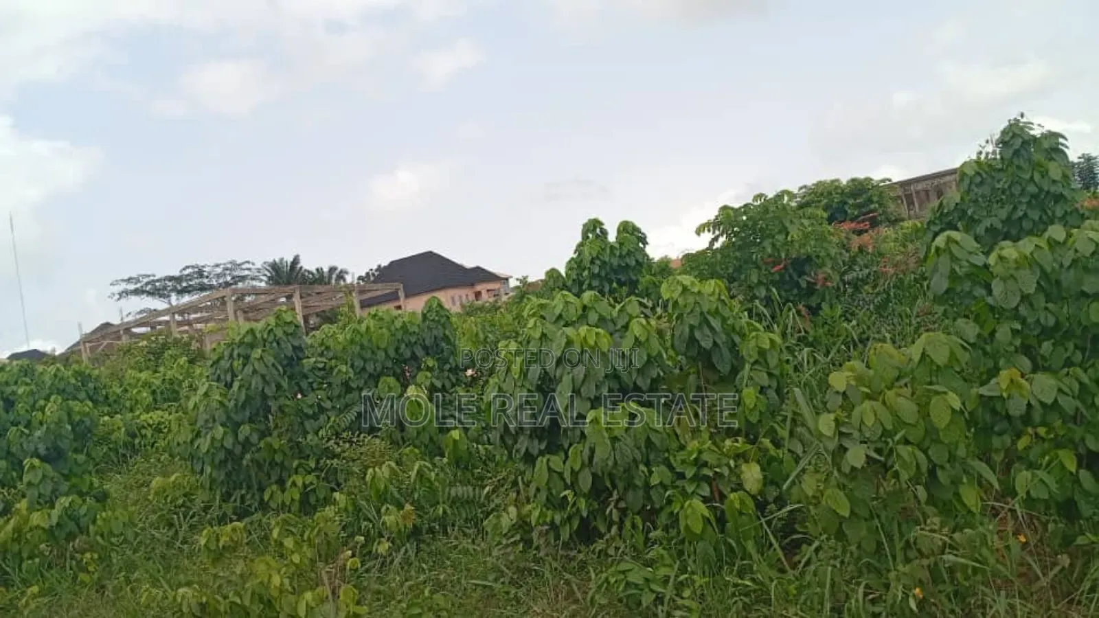 50 Acres of Virgin Farmland Mologed Odeda Ogun Syate in Odeda