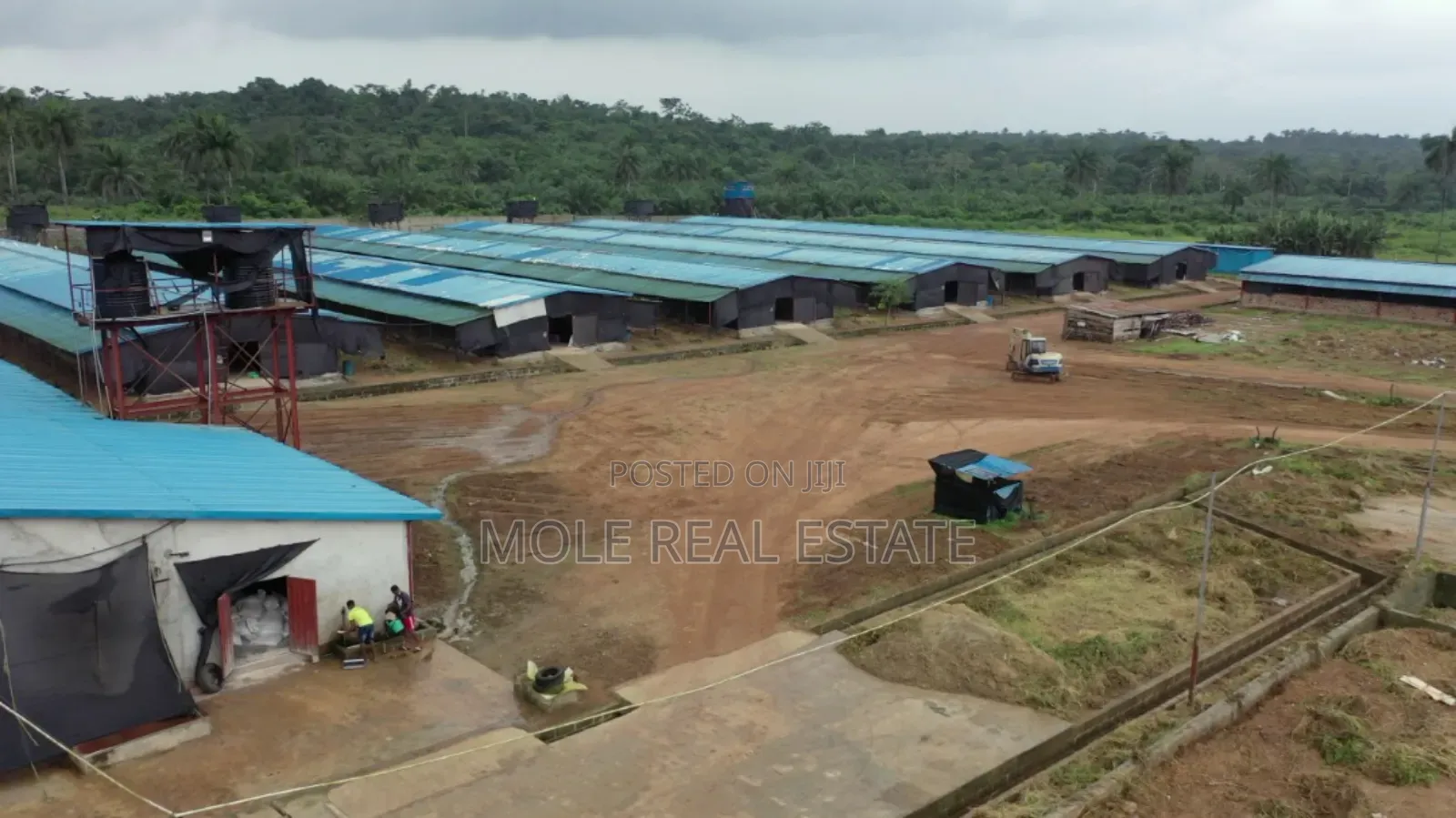 60000 Birds Automated Poultry 20 Hectre 4 Sale Ogun State in Ijebu
