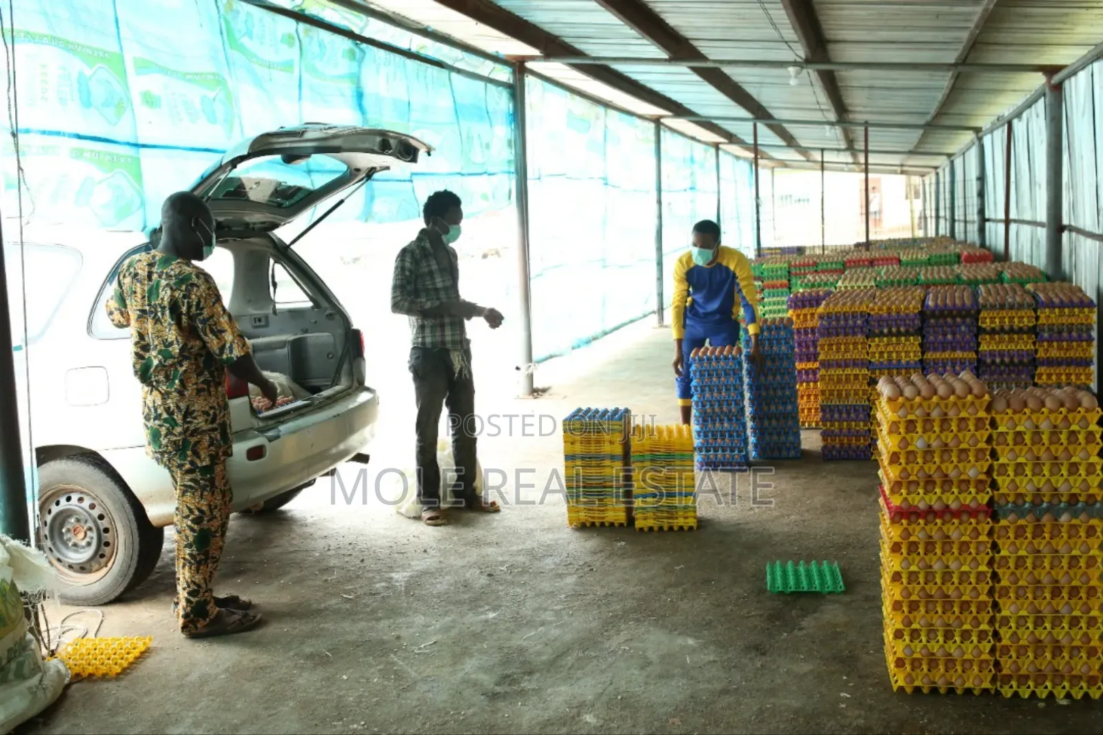 60000 Birds Automated Poultry 20 Hectre 4 Sale Ogun State in Ijebu