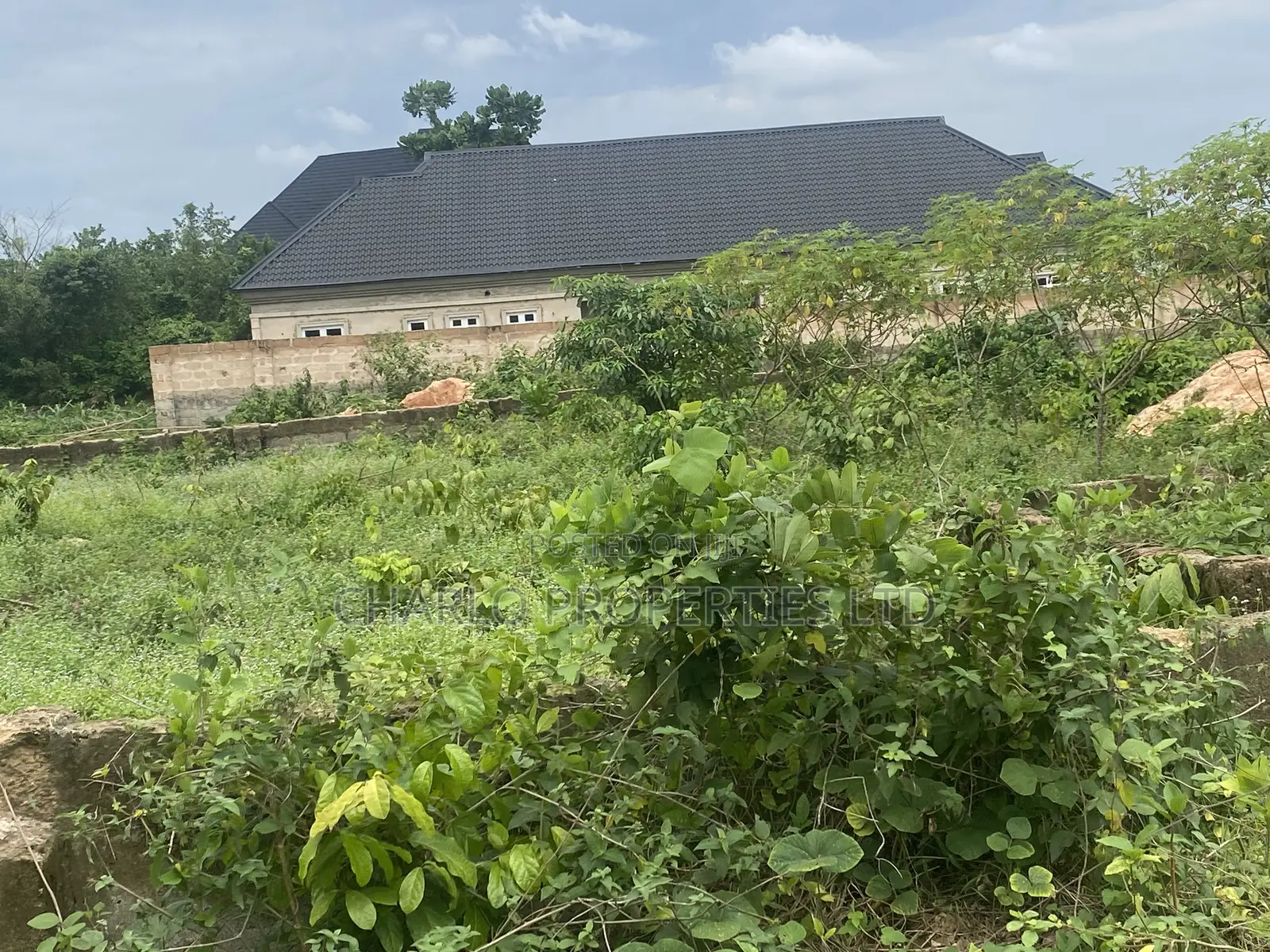 Genuine 100ft by 100ft With C of O in Amagba for Sale in Benin City