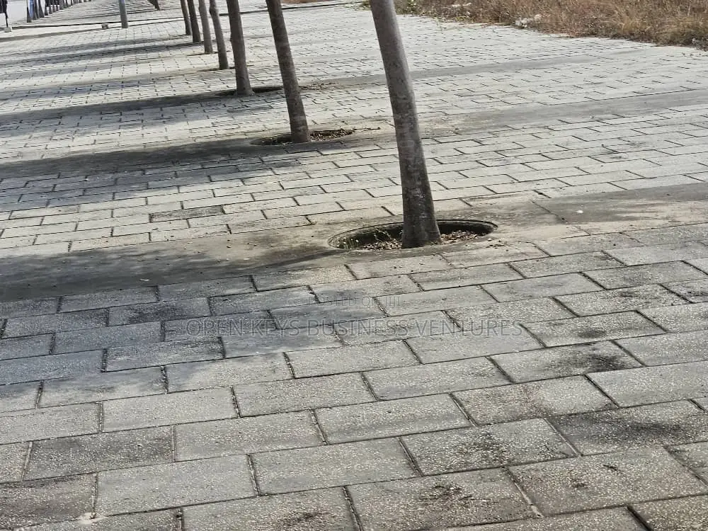 A Prime Parcel of Land Measuring 4313sqm in Eko Atlantic