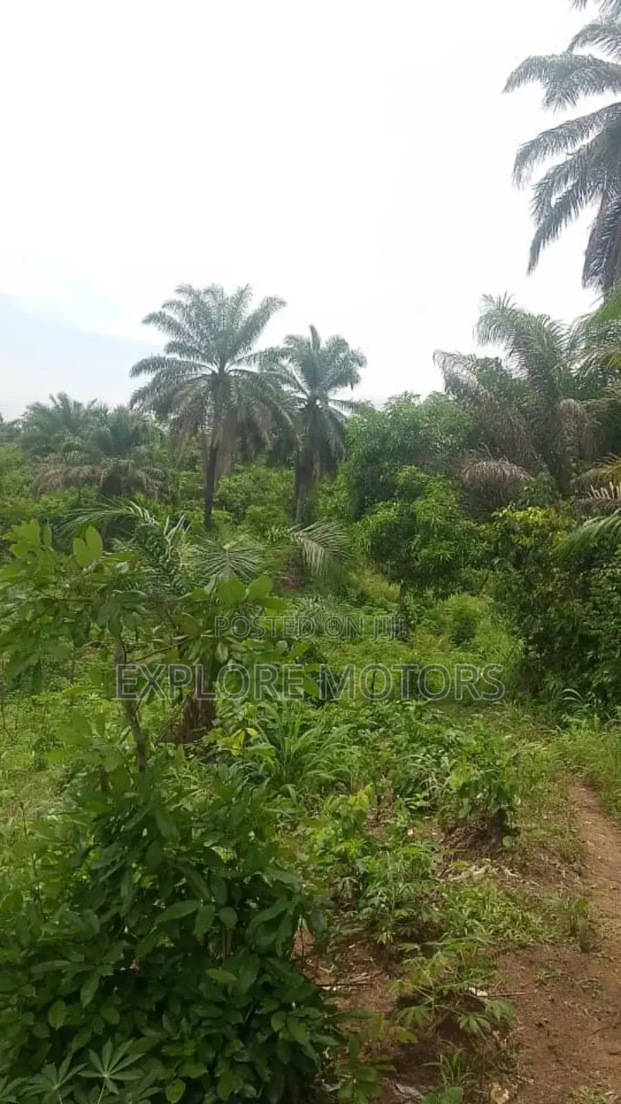 200 Hectares (1,200) Plots of Land in Ozo Abam Arochukwu in Arochukwu