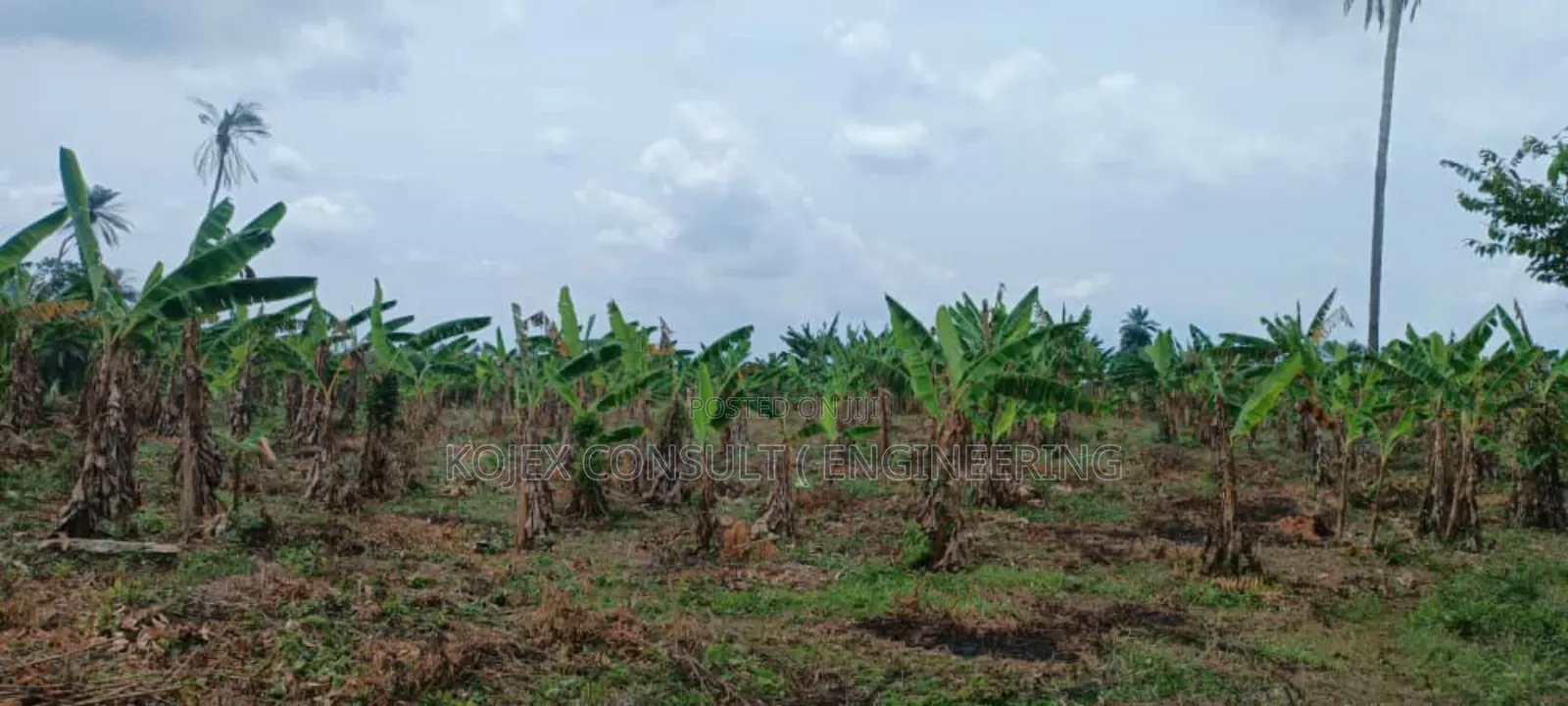 Farmland for Sale at Awoof Prices in Nigeria Hurry Up in Abeokuta North