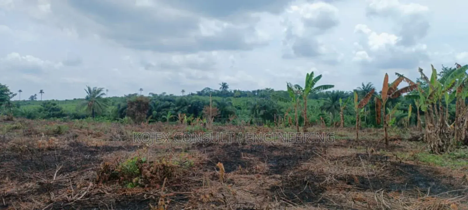 Farmland for Sale at Awoof Prices in Nigeria Hurry Up in Abeokuta North