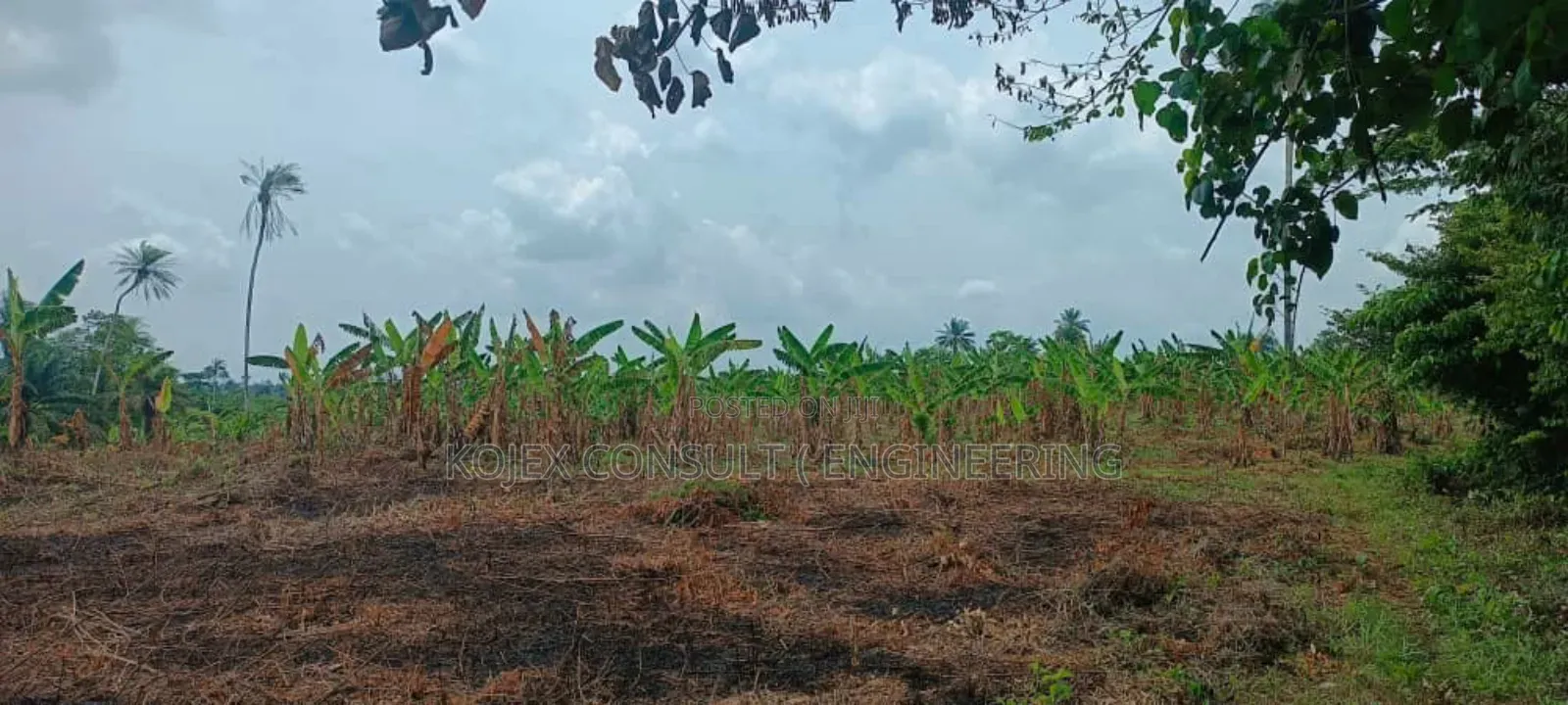 Farmland for Sale at Awoof Prices in Nigeria Hurry Up in Abeokuta North