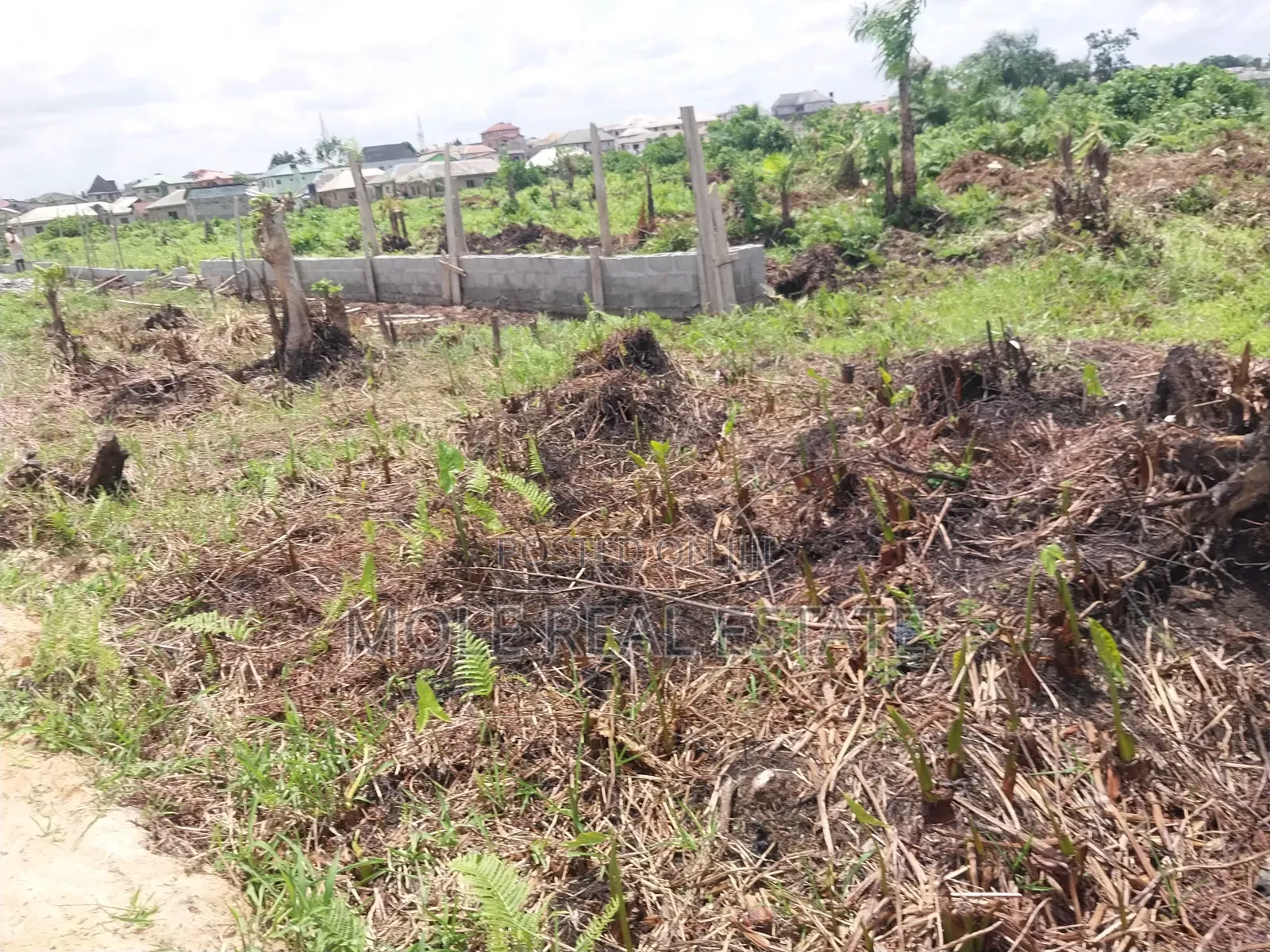 300sqm Half Plot Dwarf Fenced Estate Ijegun-Ijegemo by New Expressway in Ijegun