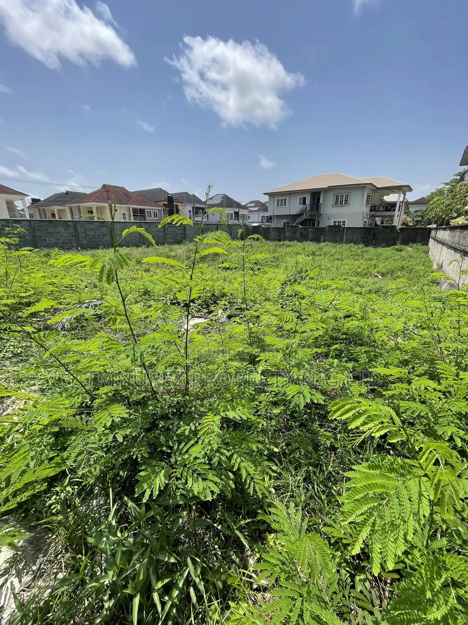 1000 Square Meters Land for Sale in Chevron