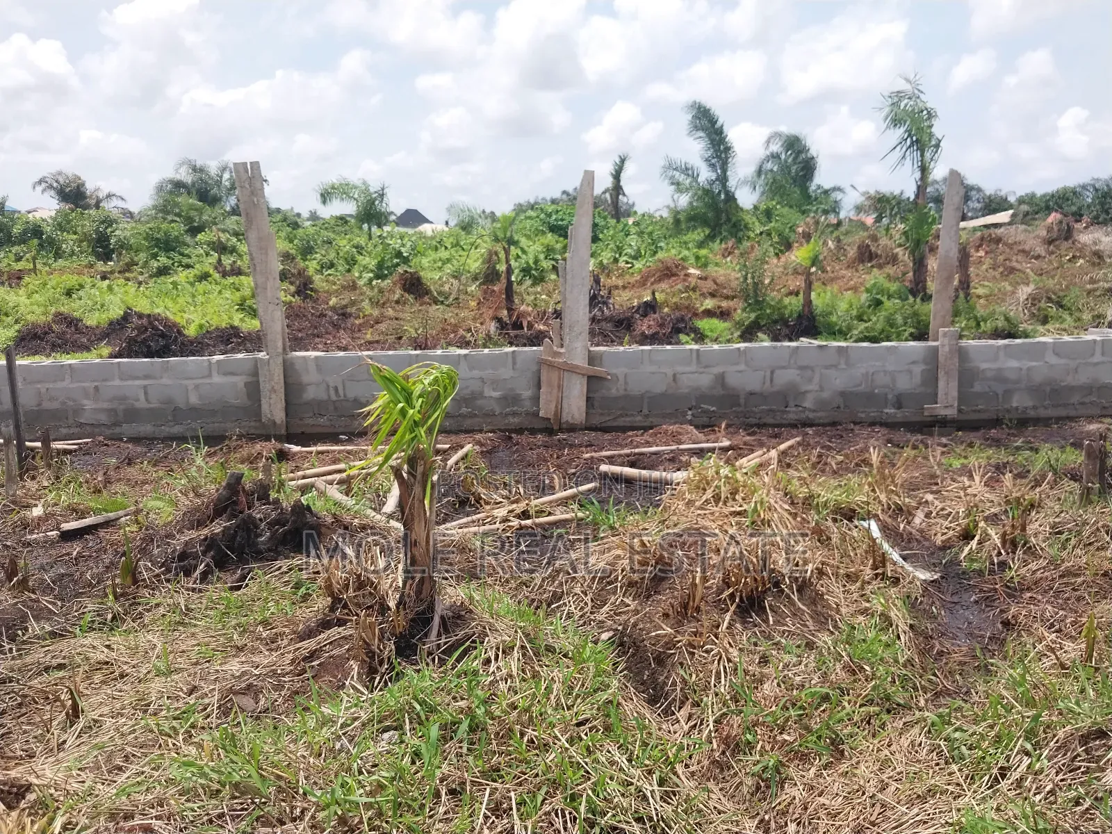 Full Plot by Governor's Rd Inside a Built Up Street in Governors Road